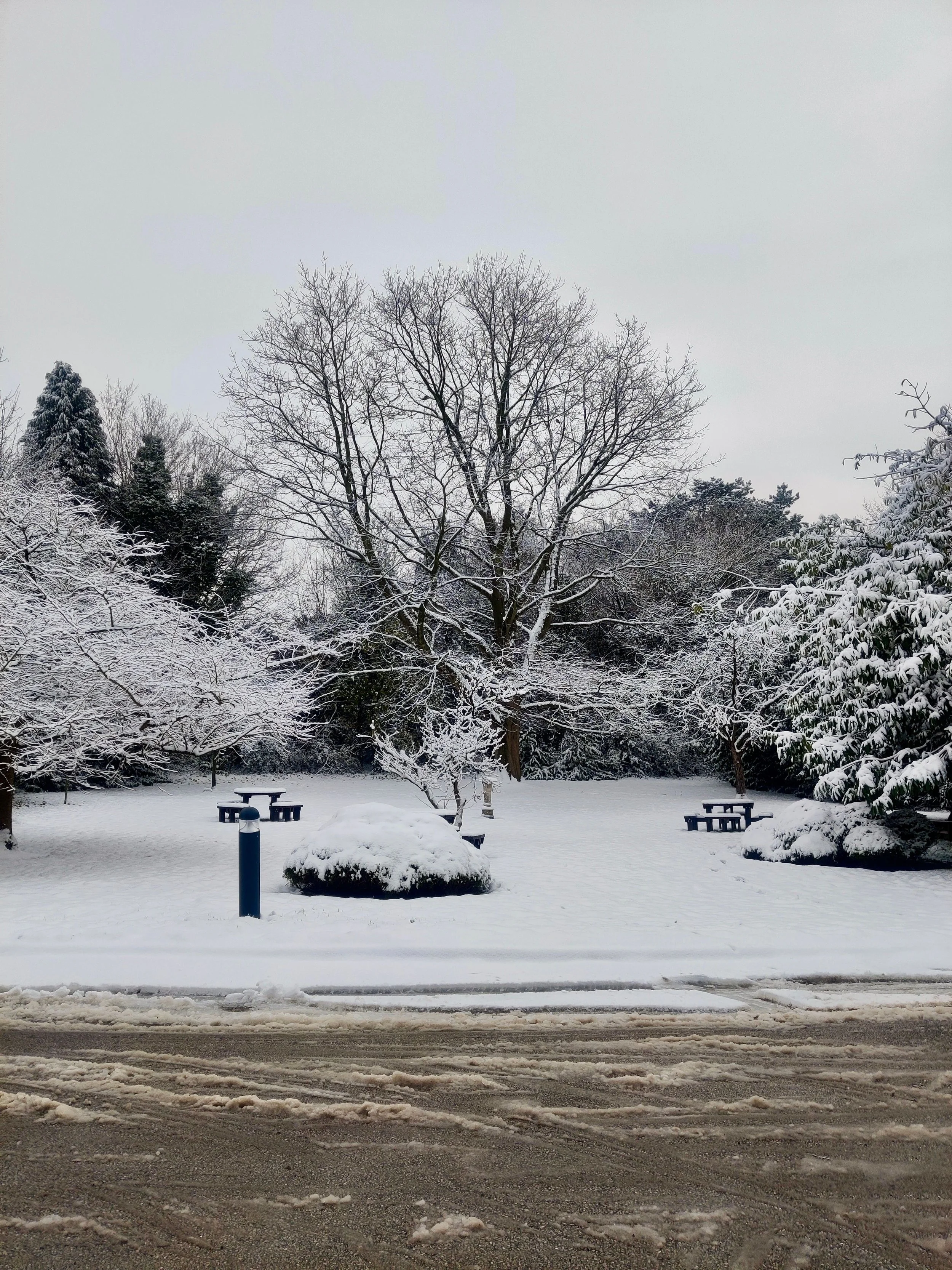 Snow-covered park with benches, trees, and a cloudy sky.