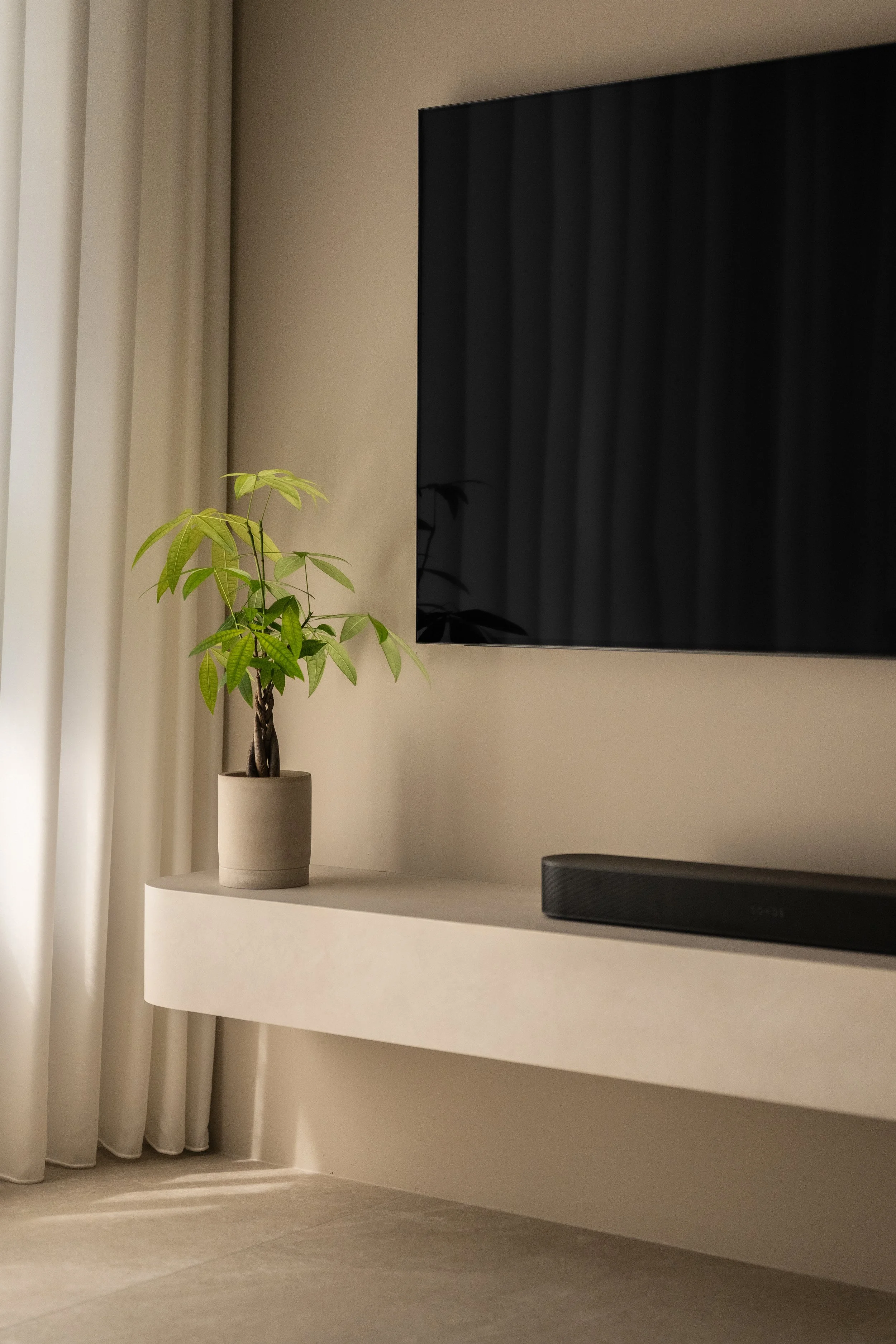 A potted plant on a white floating shelf below a mounted flat-screen TV, with beige curtains to the side in a minimalistic living room.