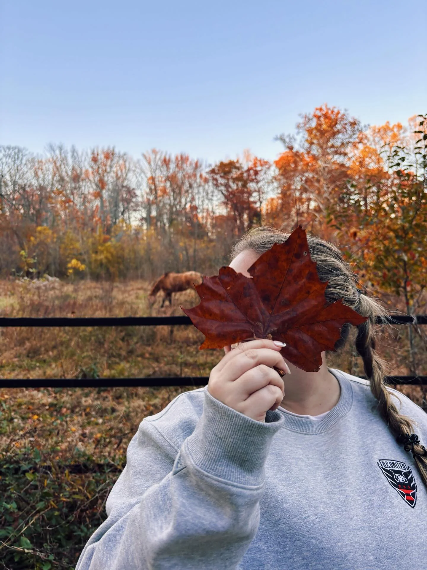 The fall I held objects in front of my face 🍁☕️🍺✨

#dmv #fall #fallactivities #northernvirginia #beer #starbucks #autumnleaves