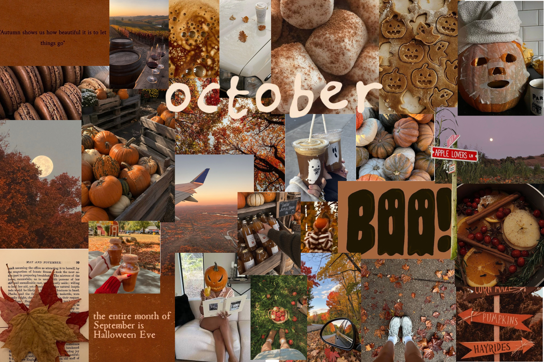 Oct Wallpaper.png