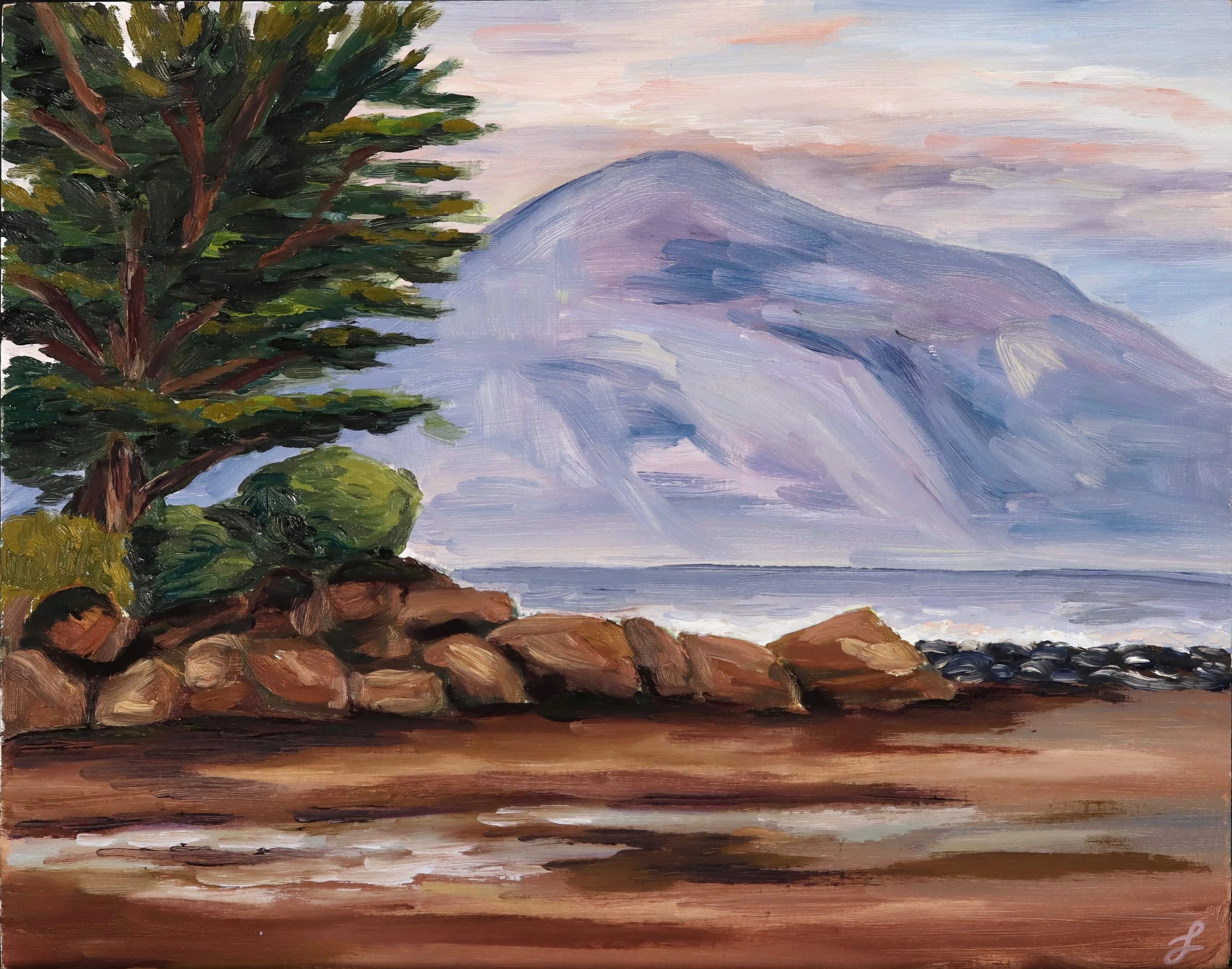 Evening-Rincon.jpg