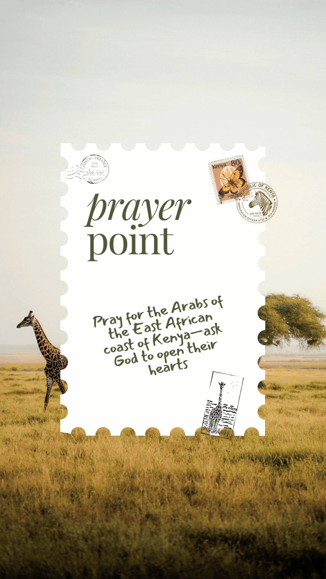 sept. custom reel.gif