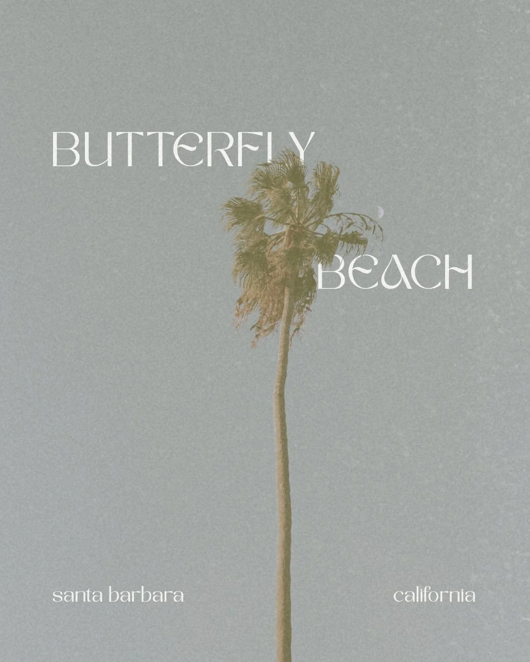 Butterfly Beach.jpg
