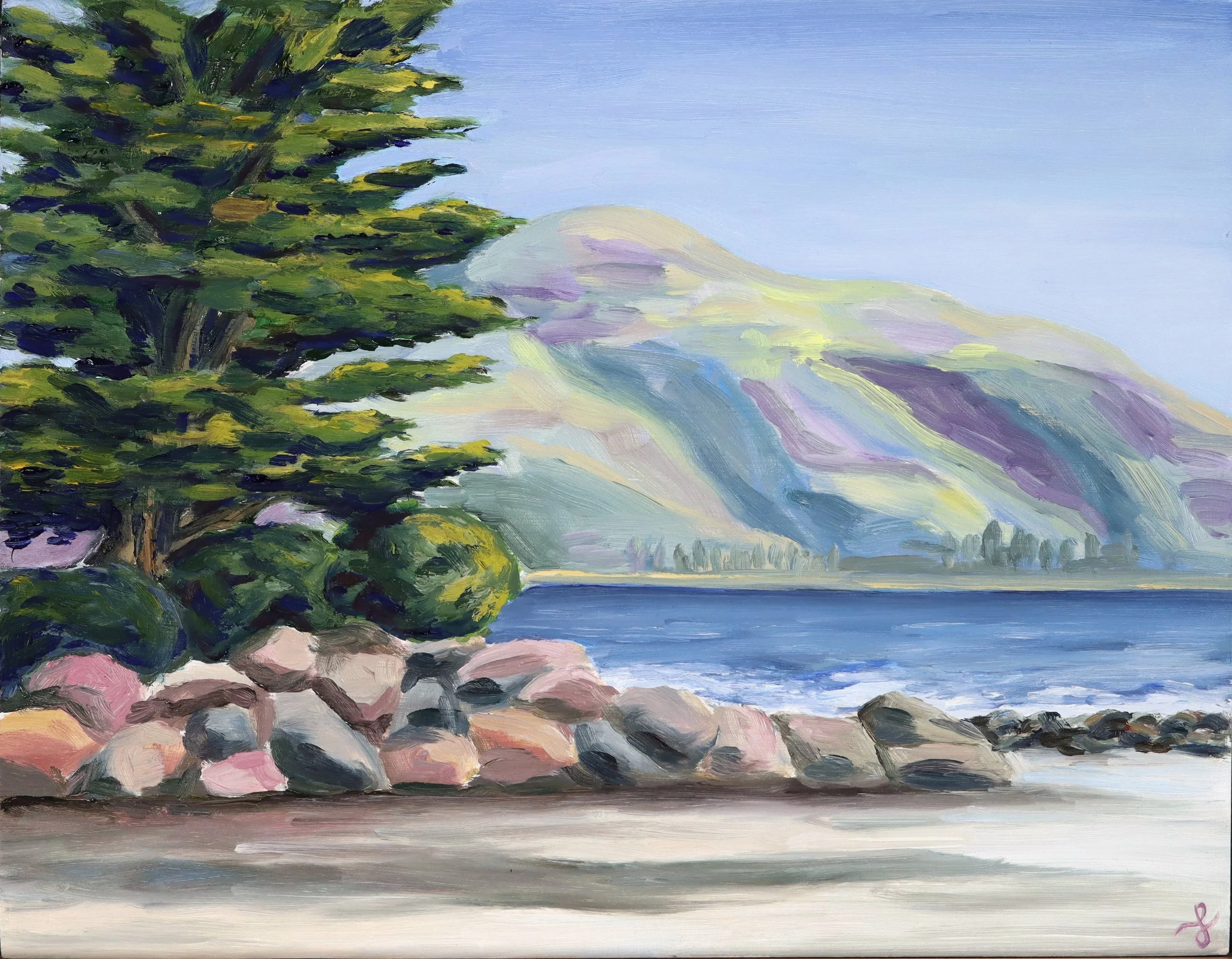 Afternoon-Rincon.jpg