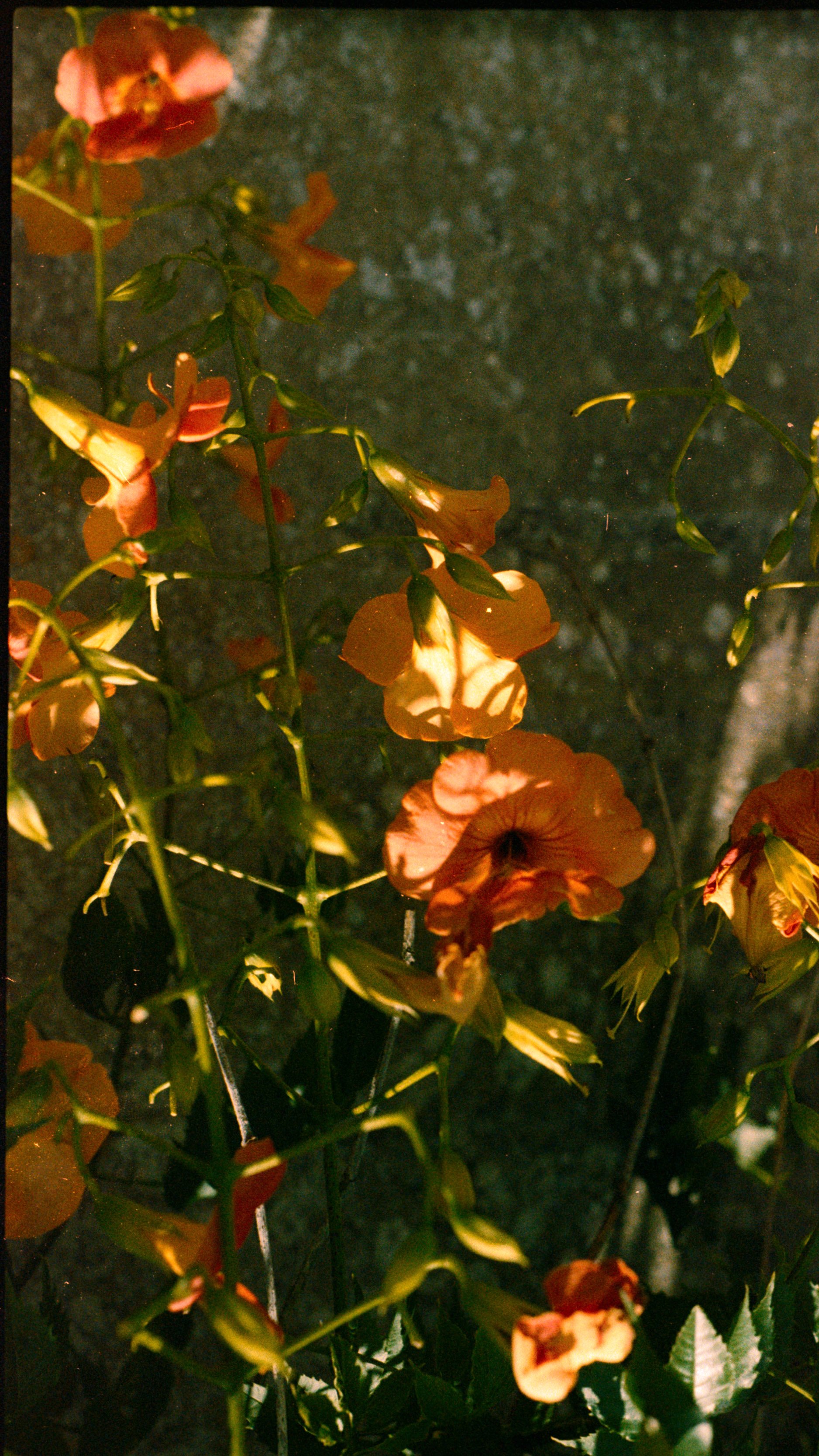 202307_Kodak-200- (10).jpg
