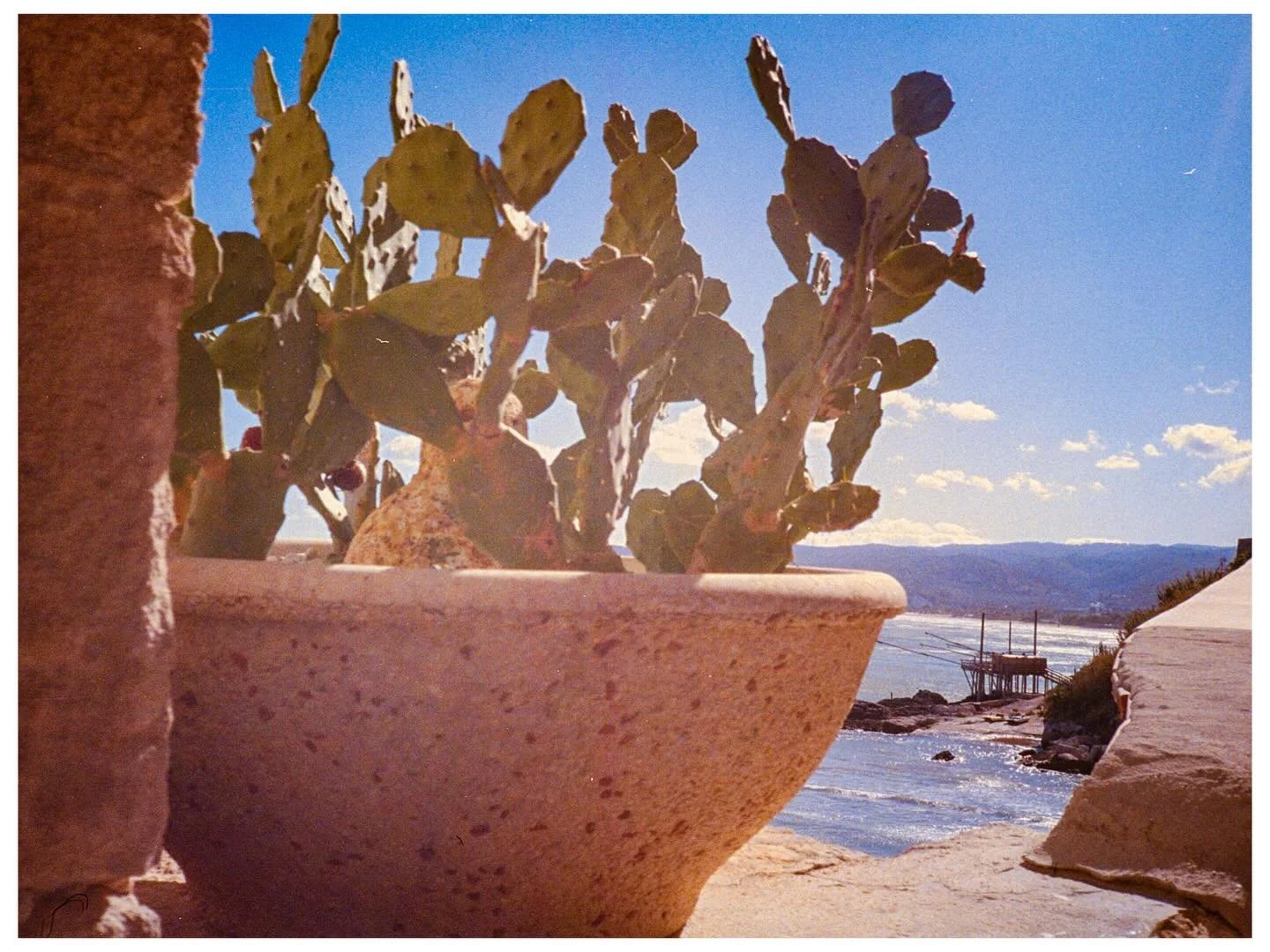 Oc&eacute;ans couleurs calme
&Ccedil;a donne envie d&rsquo;y plonger🐬

🪸 Olympus xa-2 - Minolta srt101 + 50mm 
🐠 pellicules fra&icirc;ches et p&eacute;rim&eacute;es - scann&eacute;es &agrave; la maison