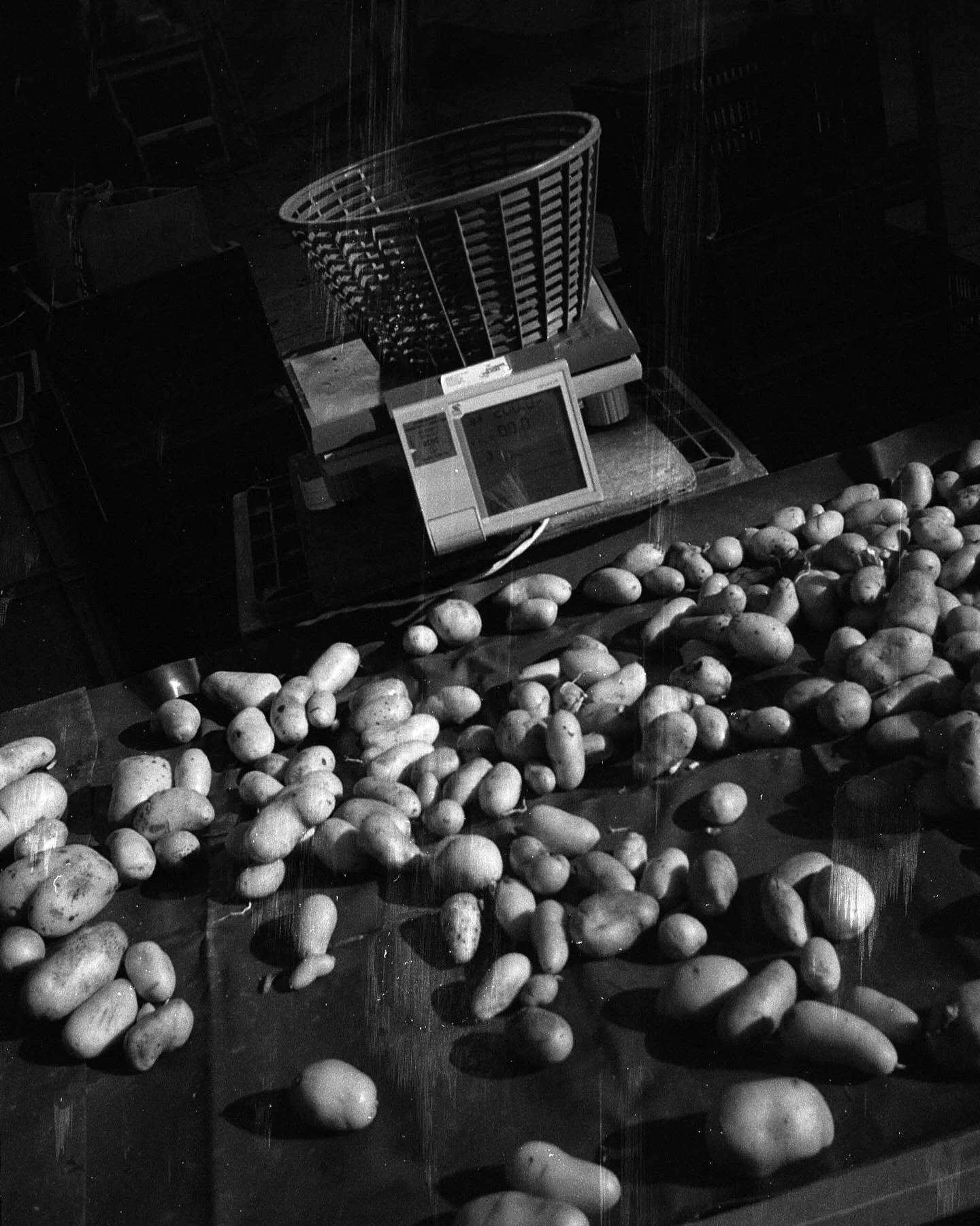 Peut &ecirc;tre qu&rsquo;il faisait nuit, peut &ecirc;tre qu&rsquo;on &eacute;tait en plein soleil &agrave; 11h, on ne saura jamais

🖤 March&eacute; central de La Rochelle 

 🌚 Olympus xa-2, ilford fp4 mais &ccedil;a ne se voit pas trop