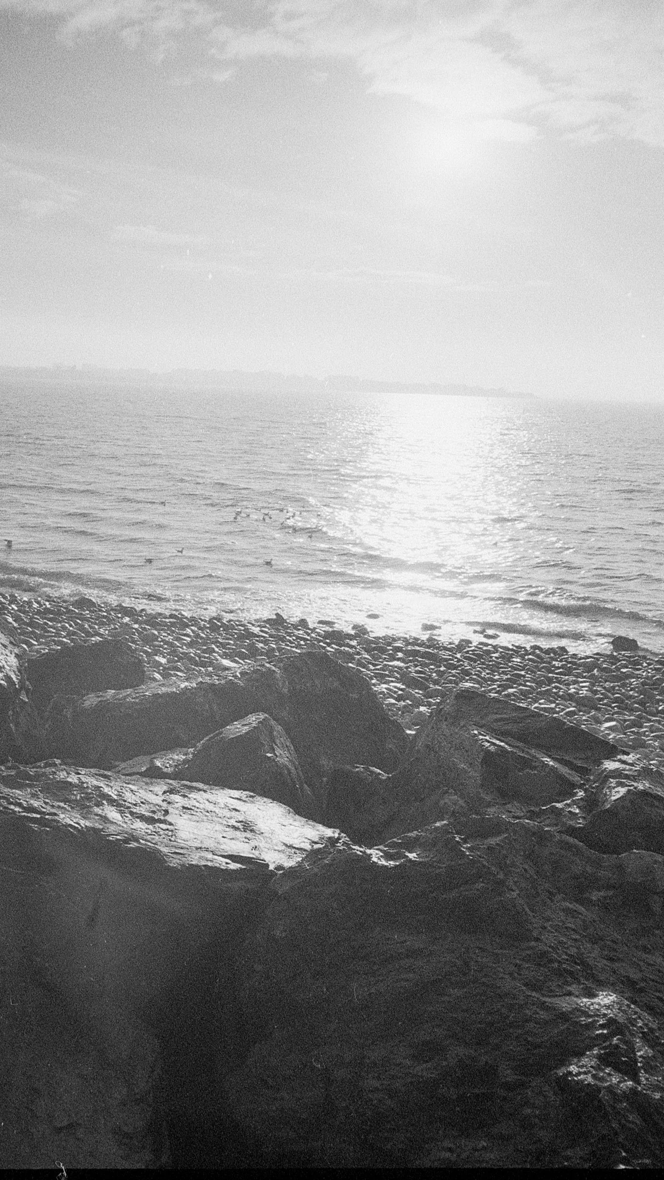 202501_Ilford-HP5-400- (4).jpg
