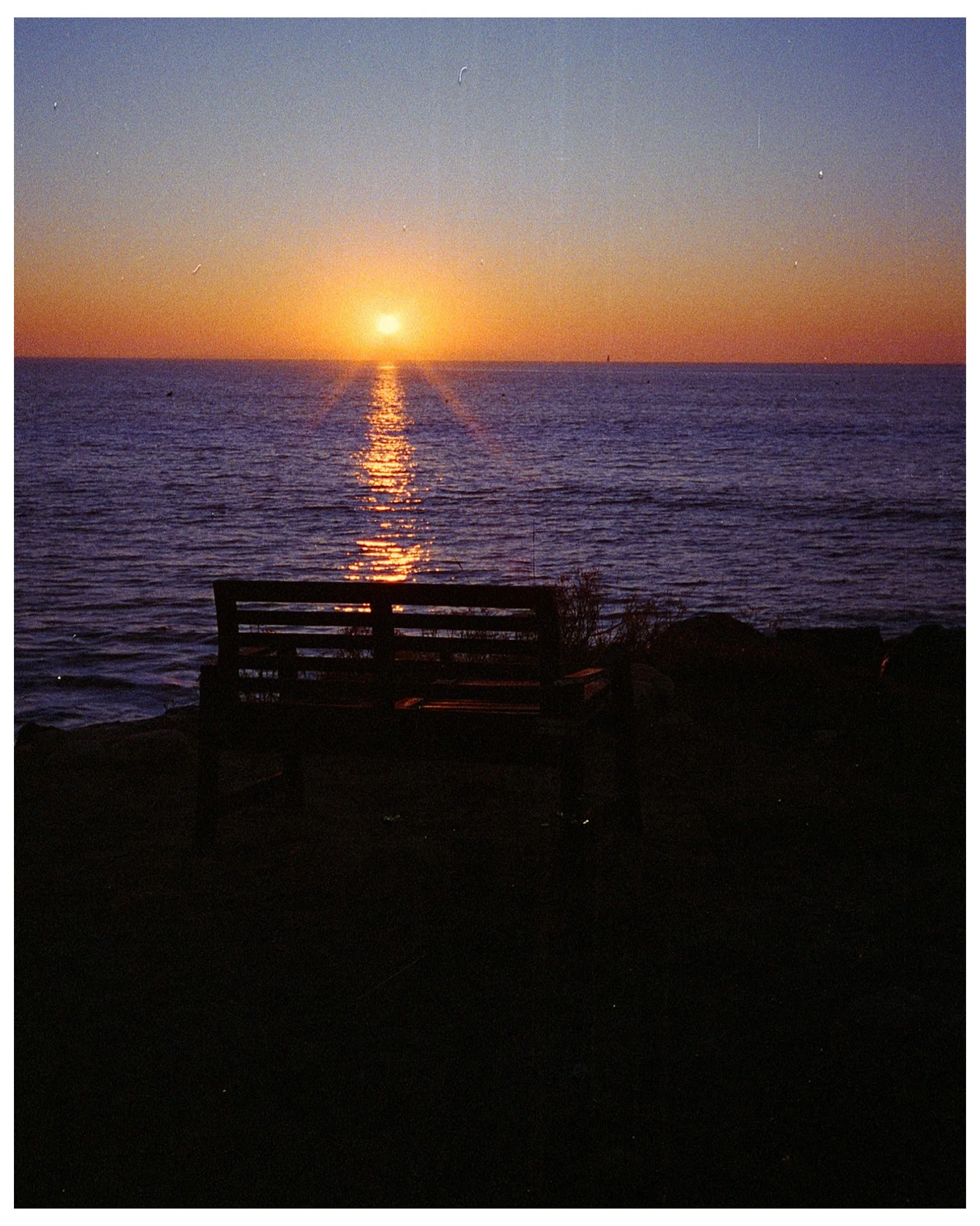 IMG_7788.JPG
