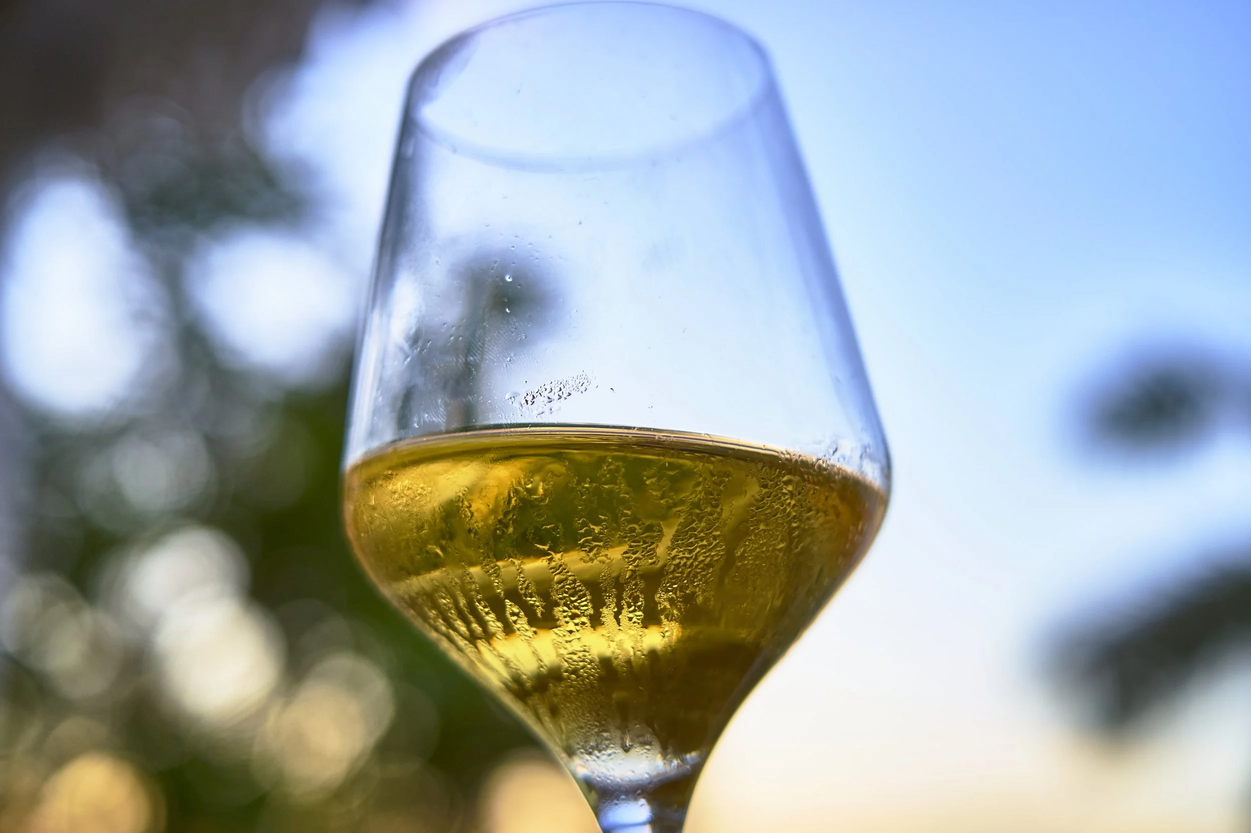 A glass of white wine.