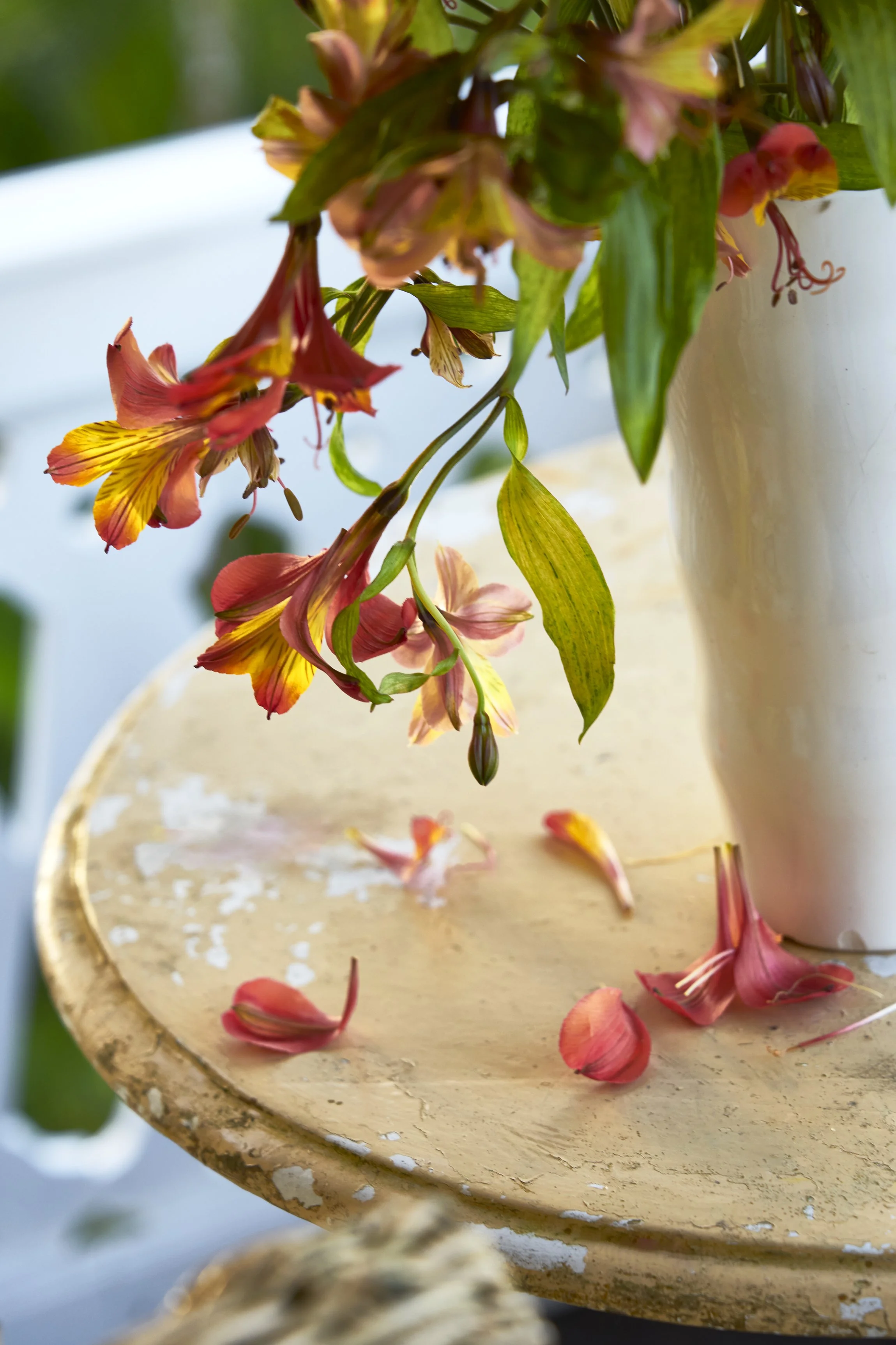 Red and yellow flowers in a vase.