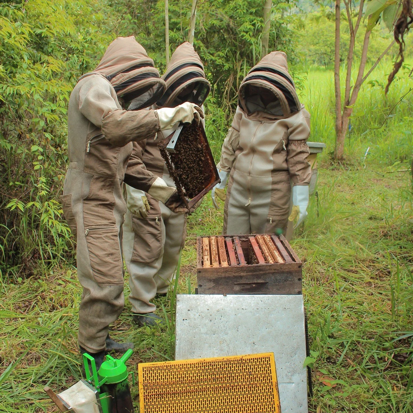 Queremos difundir m&aacute;s sobre la apicultura y que las personas
puedan saber m&aacute;s sobre la incre&iacute;ble vida de las abejas.
Hemos dise&ntilde;ado un tour para todas las edades en nuestro
apiario en un lugar magnifico cerca a Pacho Cundi