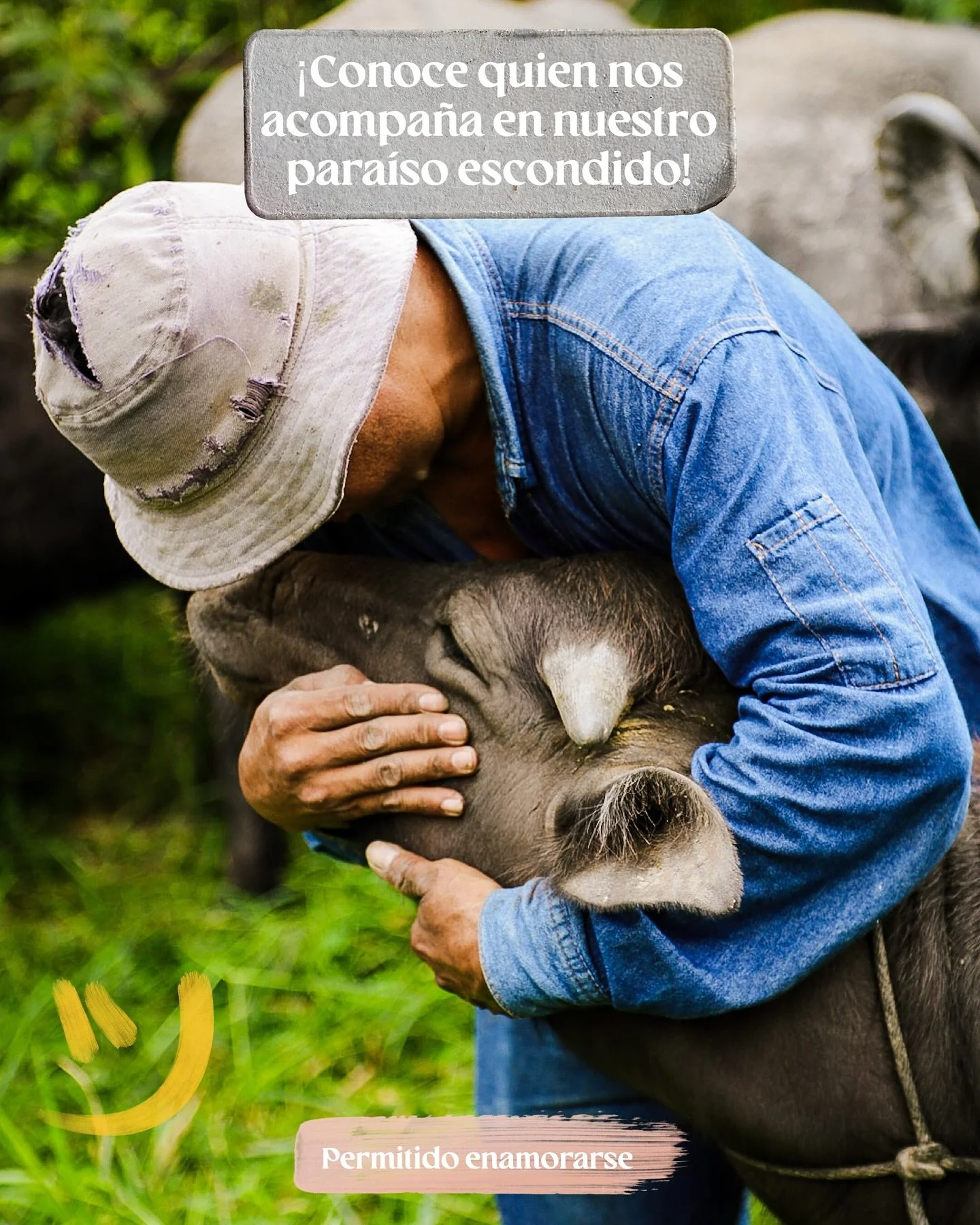 En Hacienda Noah, no solo encontramos paz y tranquilidad, también encontramos amigos de cuatro patas que nos llenan el corazón.
Conoce a nuestra familia:
- Toño, el pavo más bulloso que conocerás 
- Tute y Mona, l