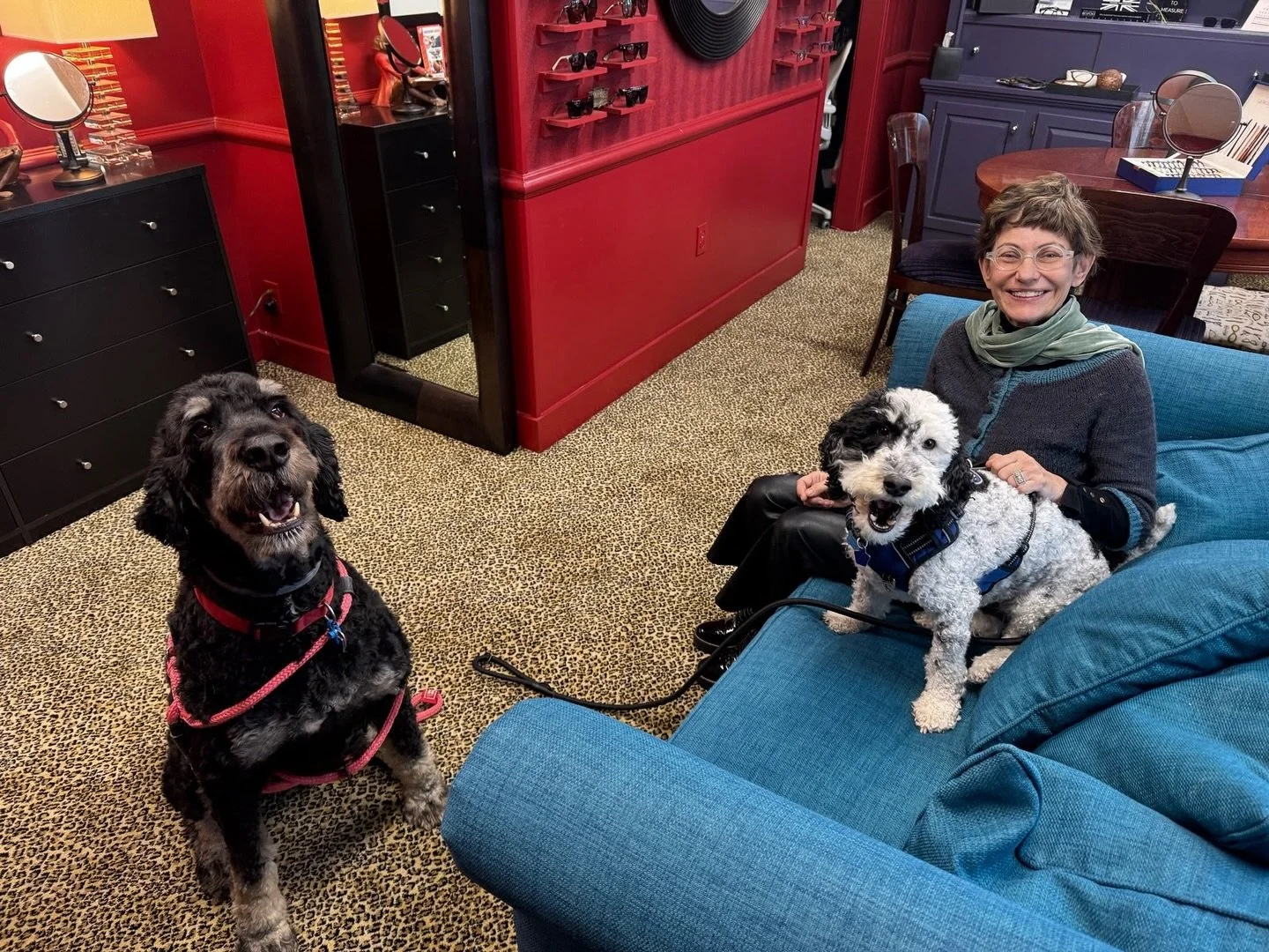 Two things you can always count on at The Optical Shop of Westport: great frames and even better company. Margaret, Eli &amp; Chester love greeting visitors. Stop by and see who&rsquo;s in today! 🐶👓