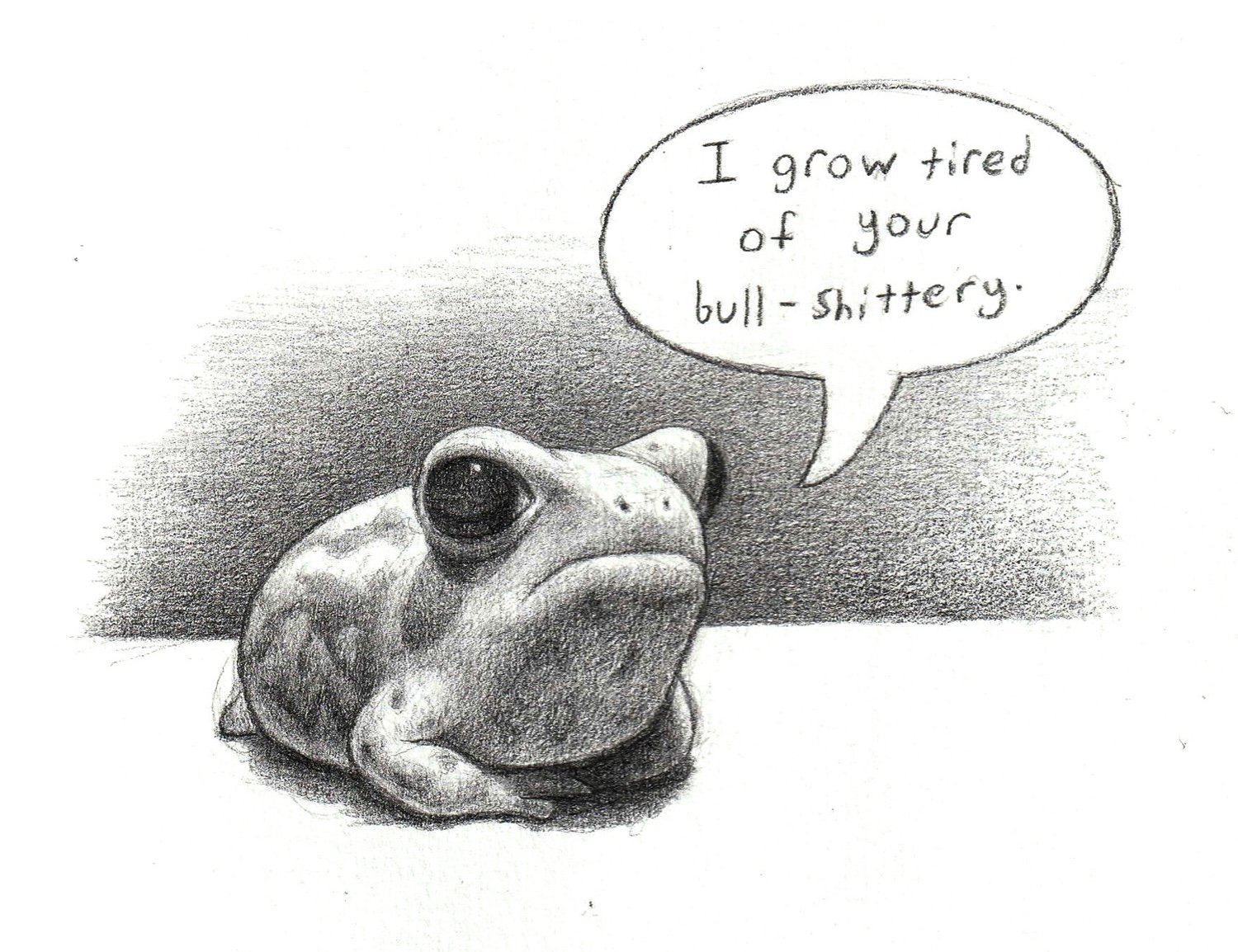 pissedofffrog.jpeg