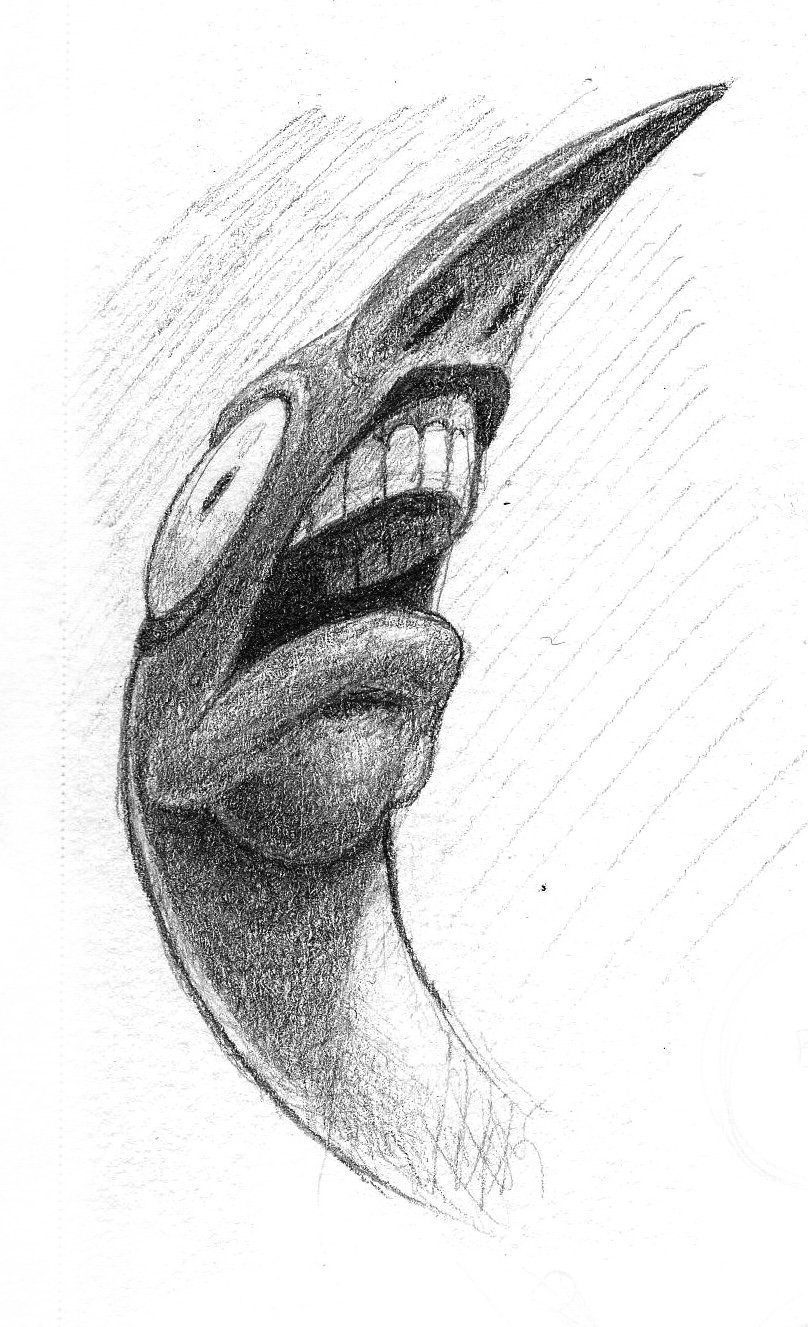 sharp nose.jpeg