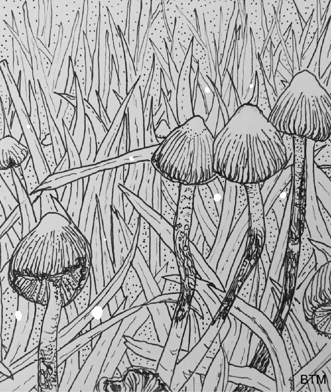 Untitled_Artwork-2-2.gif
