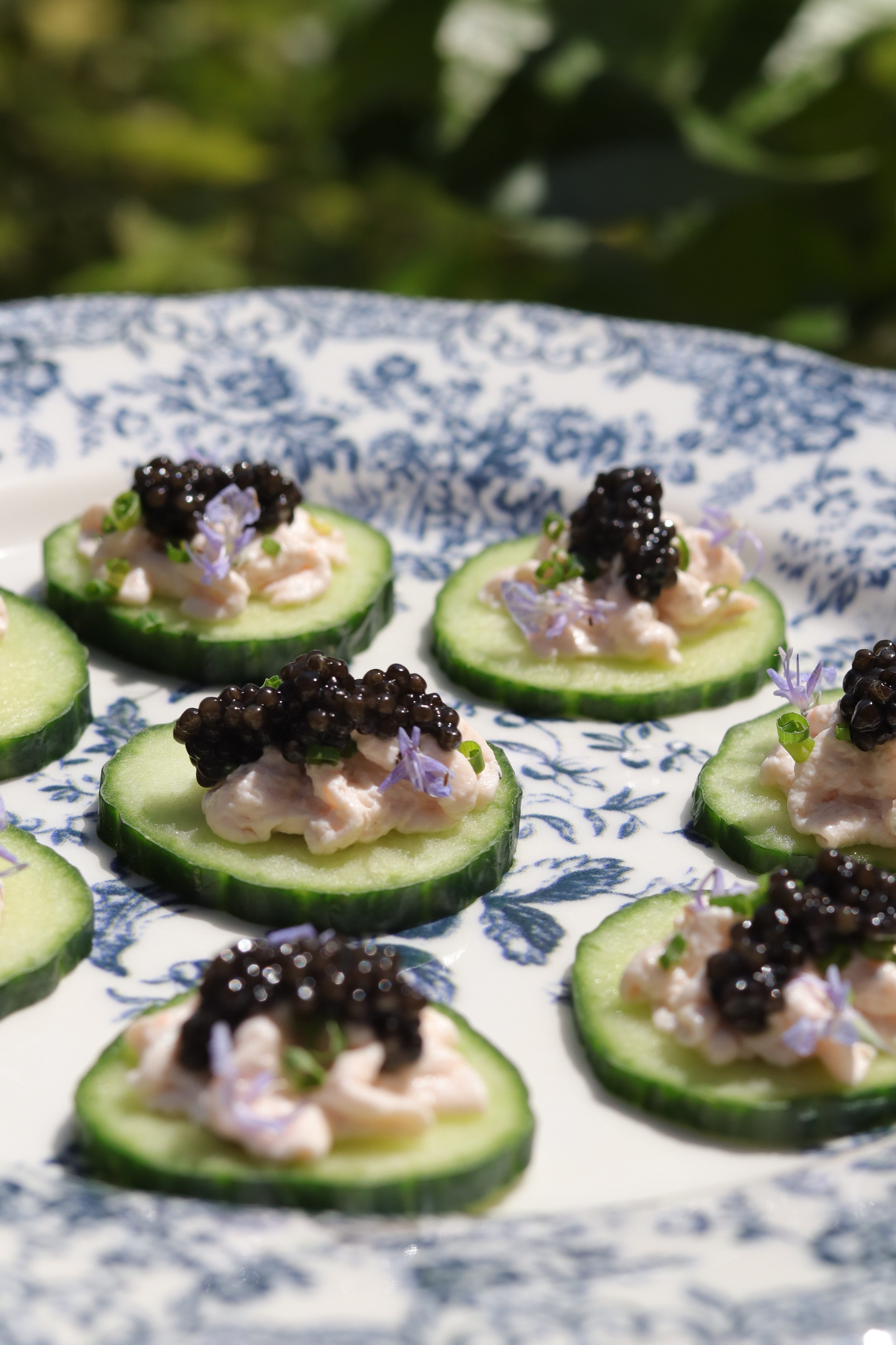 Sliced cucumber rounds topped with creamy substance, black caviar, green herbs, and small purple flowers on a vanity plate with blue floral design, outdoors with green foliage in background.