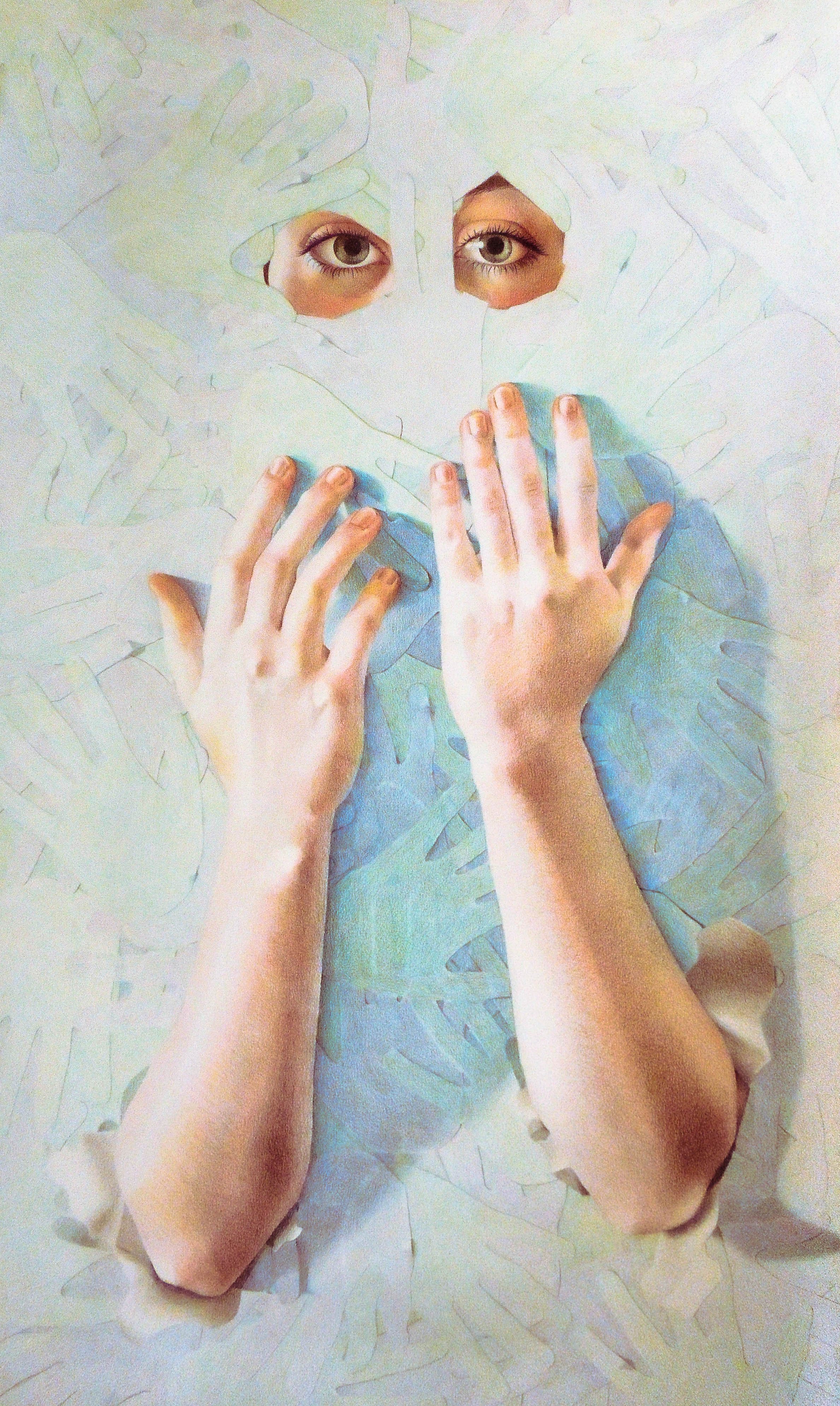 "Craft" coloured pencil (ryb) 22x40" 2015