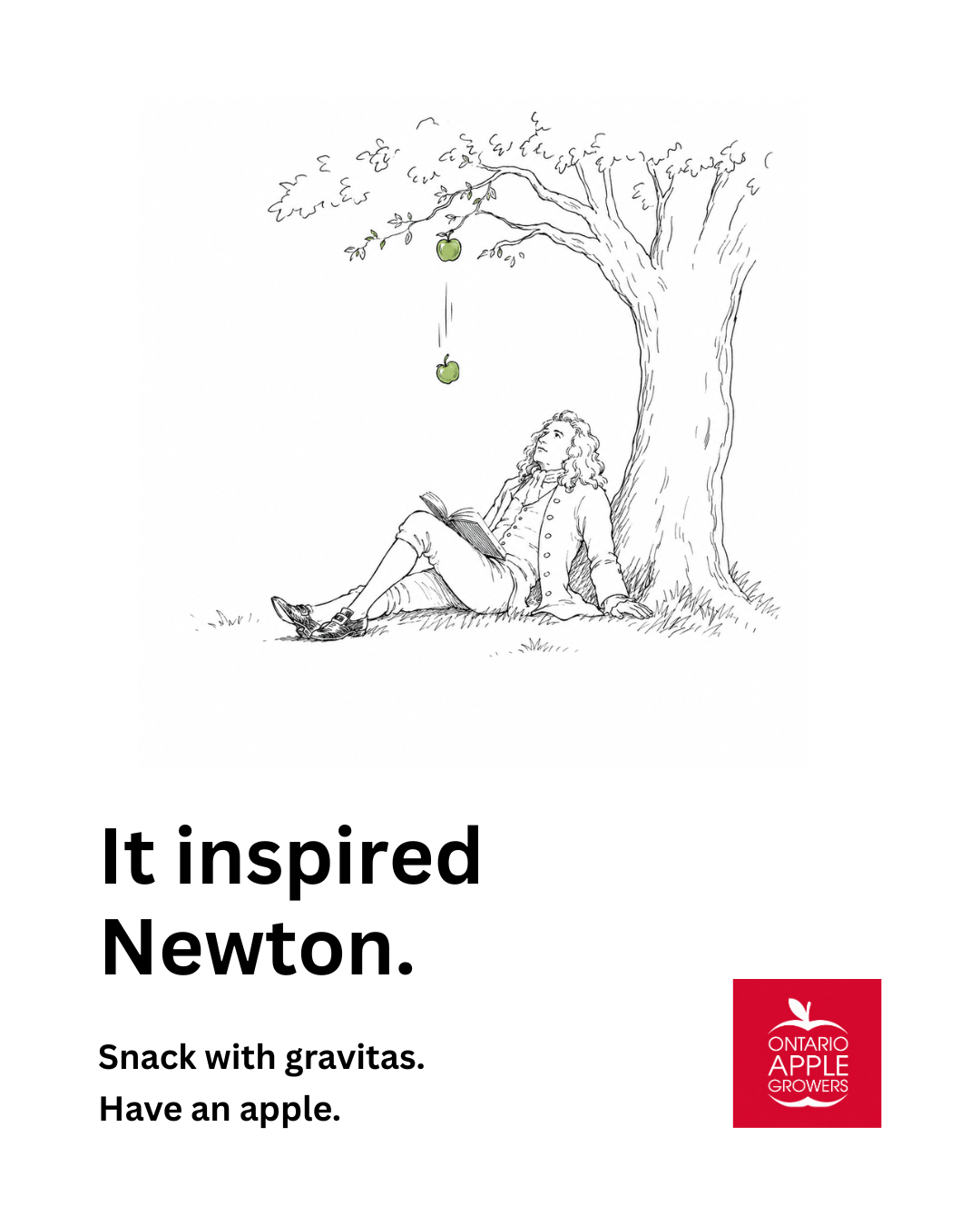 Newton.png