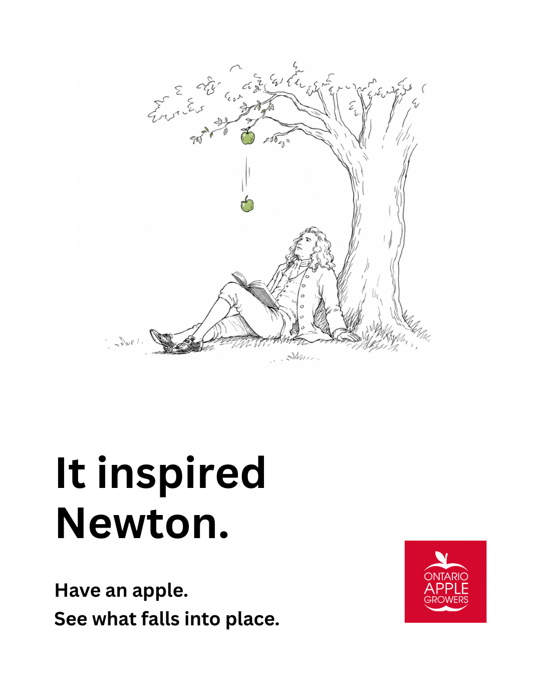 Newton2.png