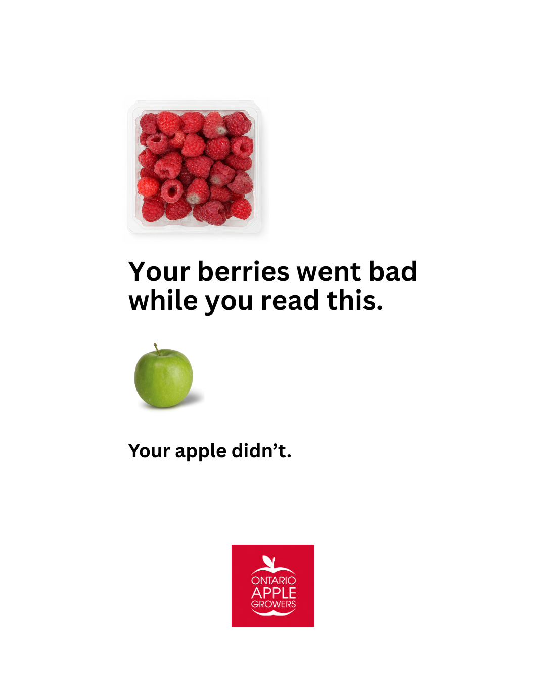 Berries.png