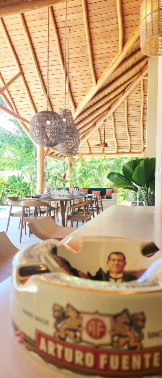 terraze zoom cendrier arturo fuente et vue table.jpg