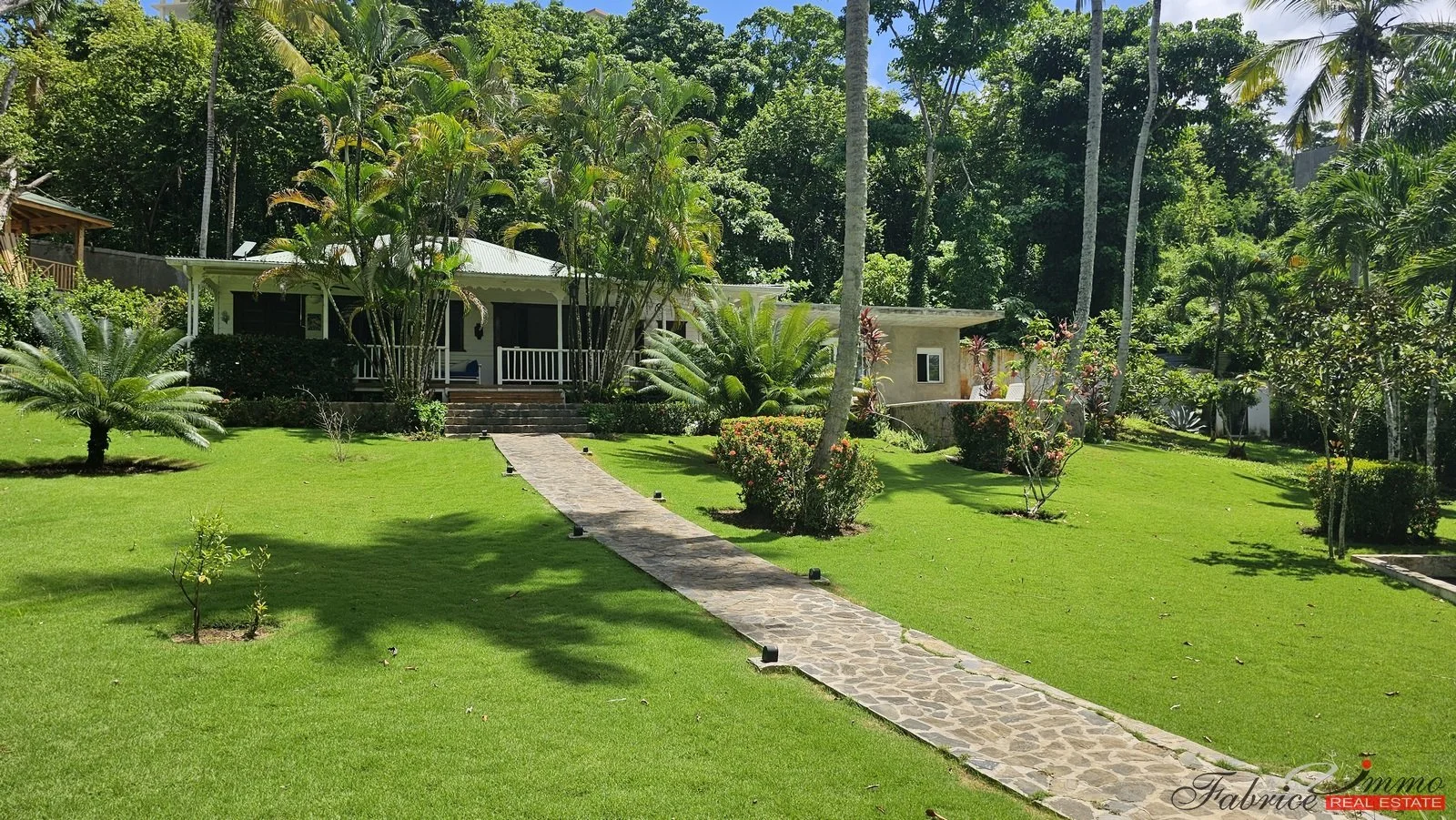 présentation vinyl.jpg