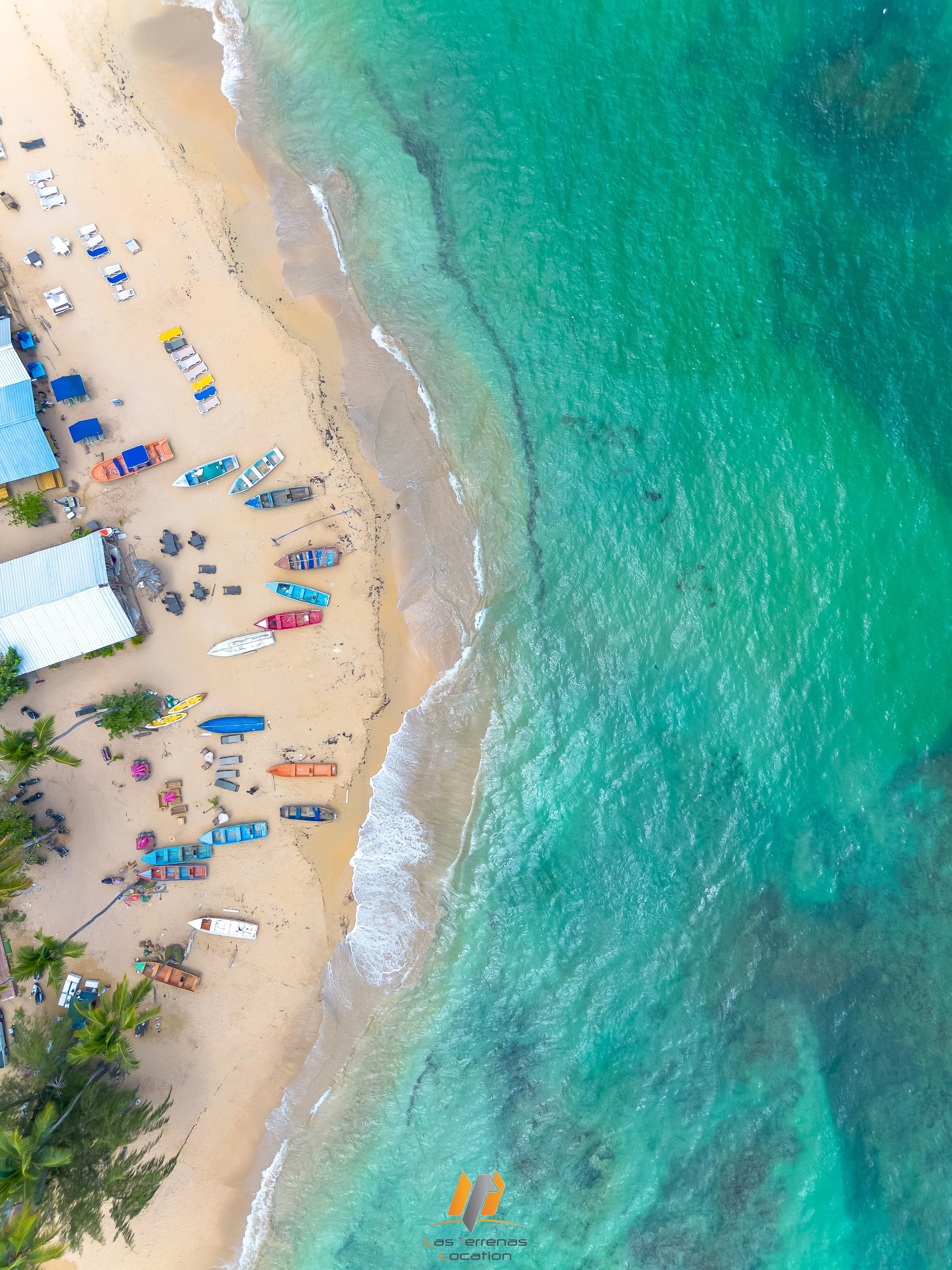 DJI 0733-HDR playa poppy.jpg