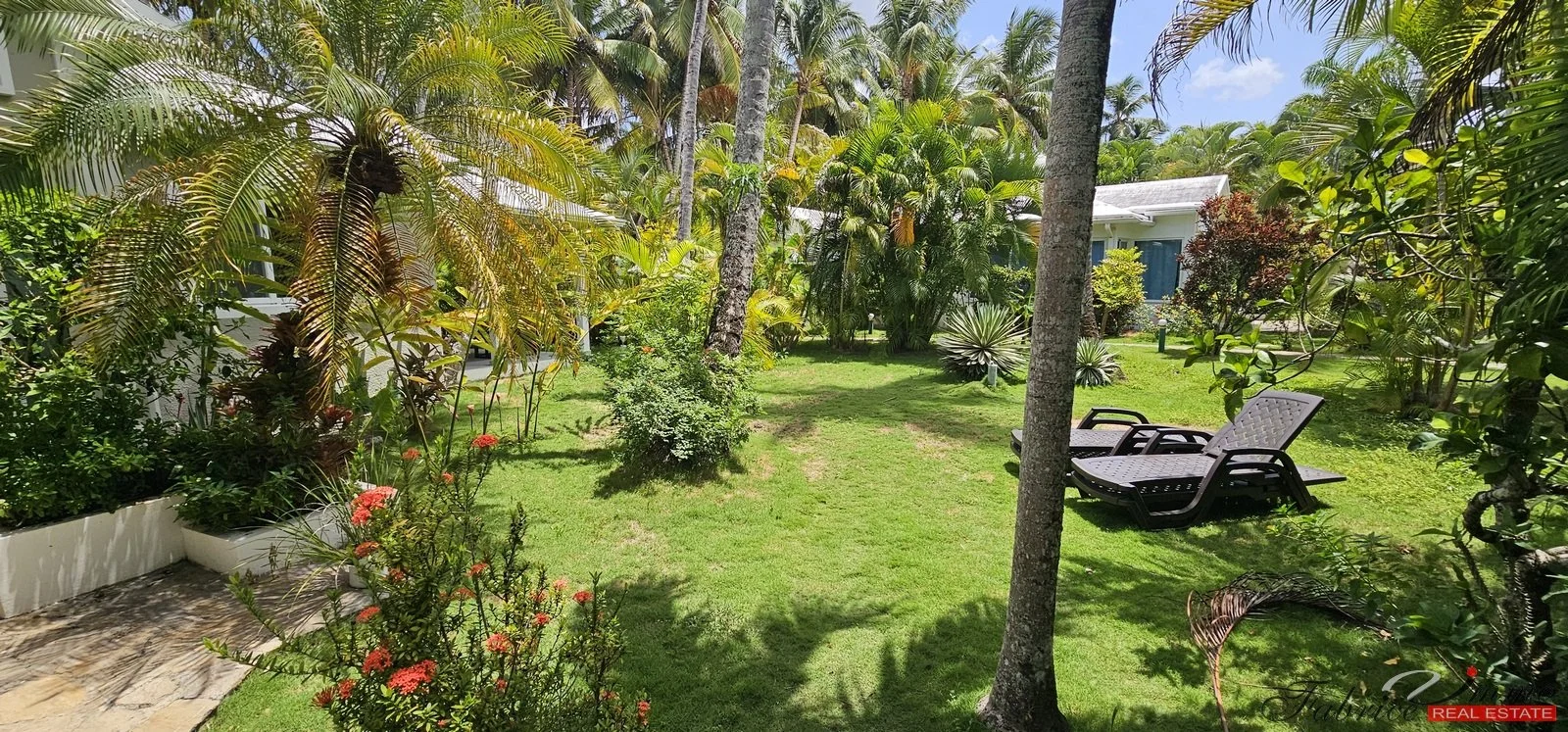 vue du jardin tropical de la villa.jpg