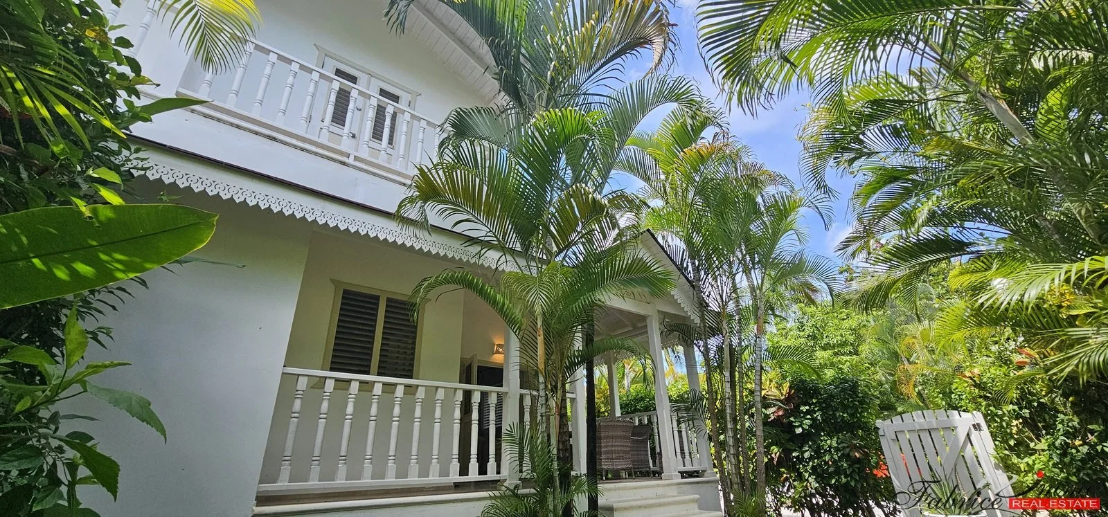 vue ext.2.jpg