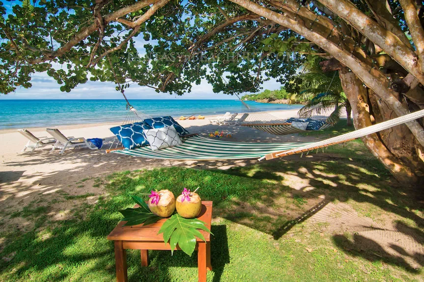 One Love vs. One-Up: Why Caribbean Music Feels Different from American Music