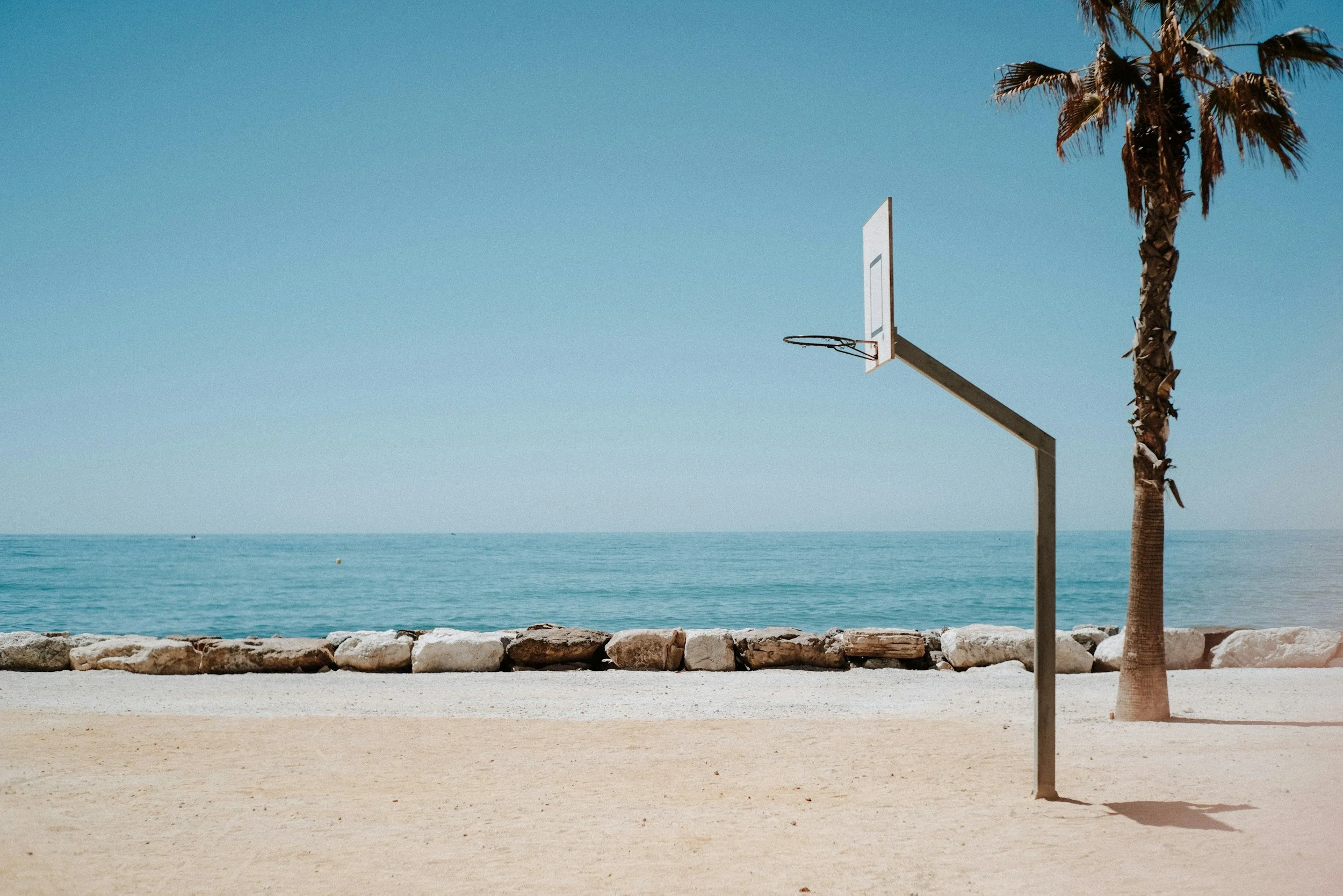 Empty basketball court on a beach with a single palm tree and a calm ocean in the background.