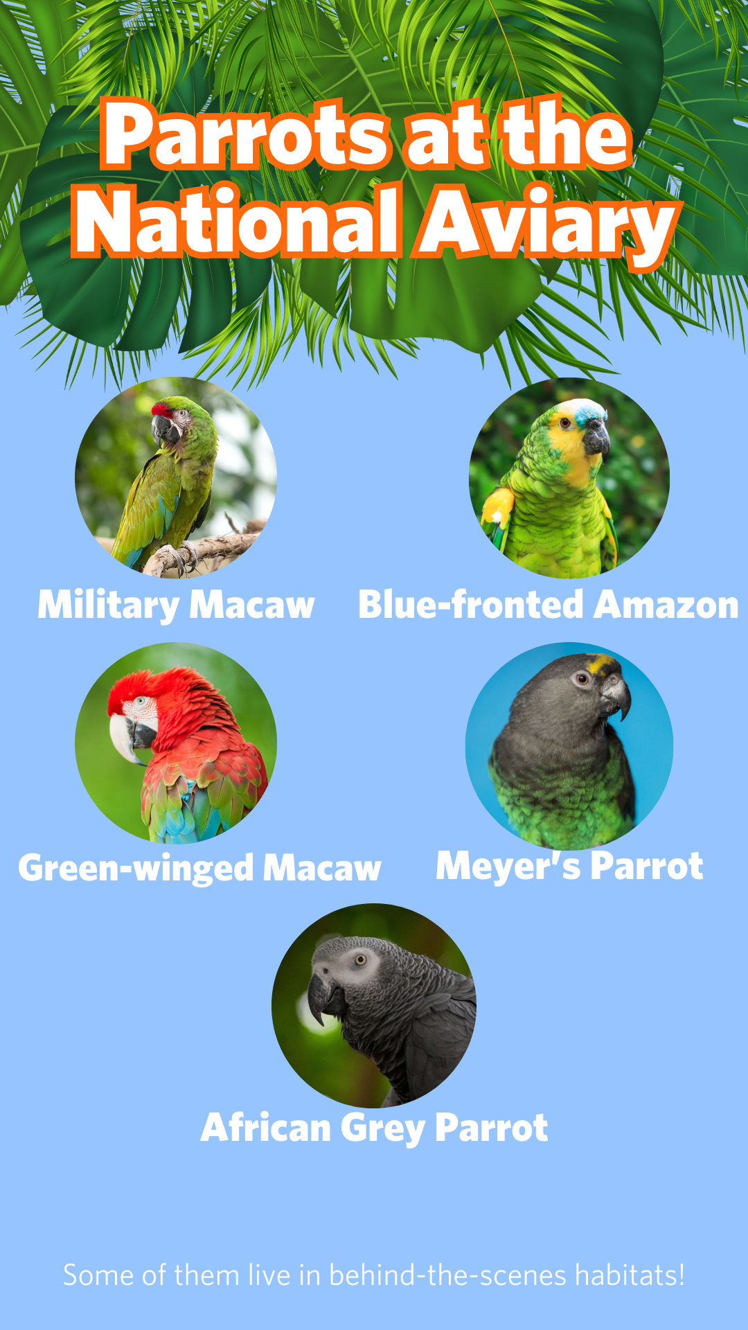 WPD Slide 2 (2).png