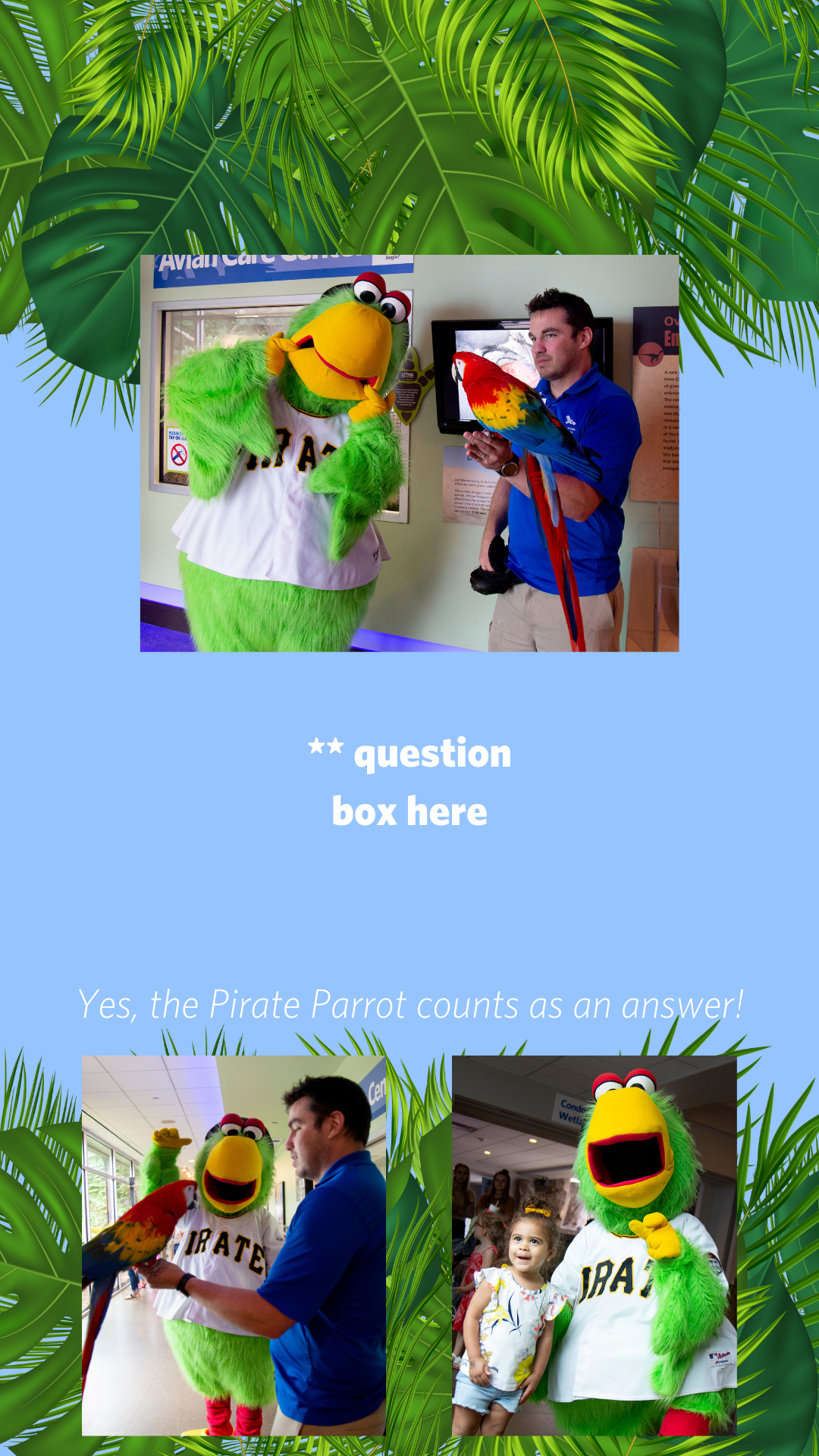 WPD Slide 4.png