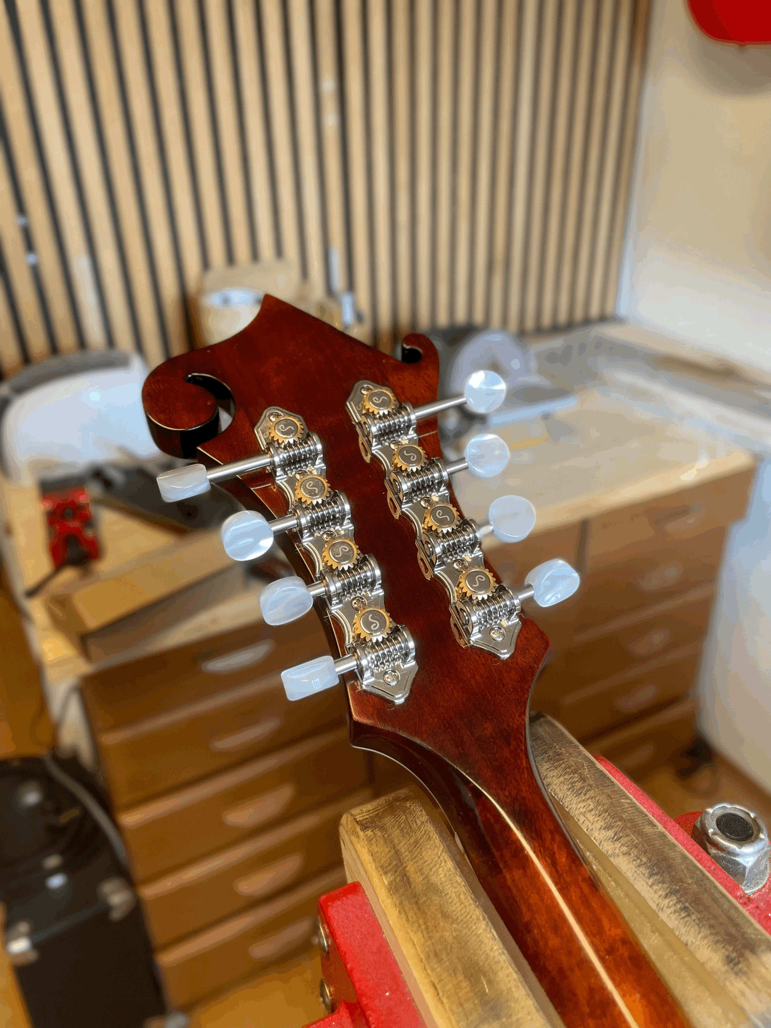 Eastman Mandoline neue Mechaniken