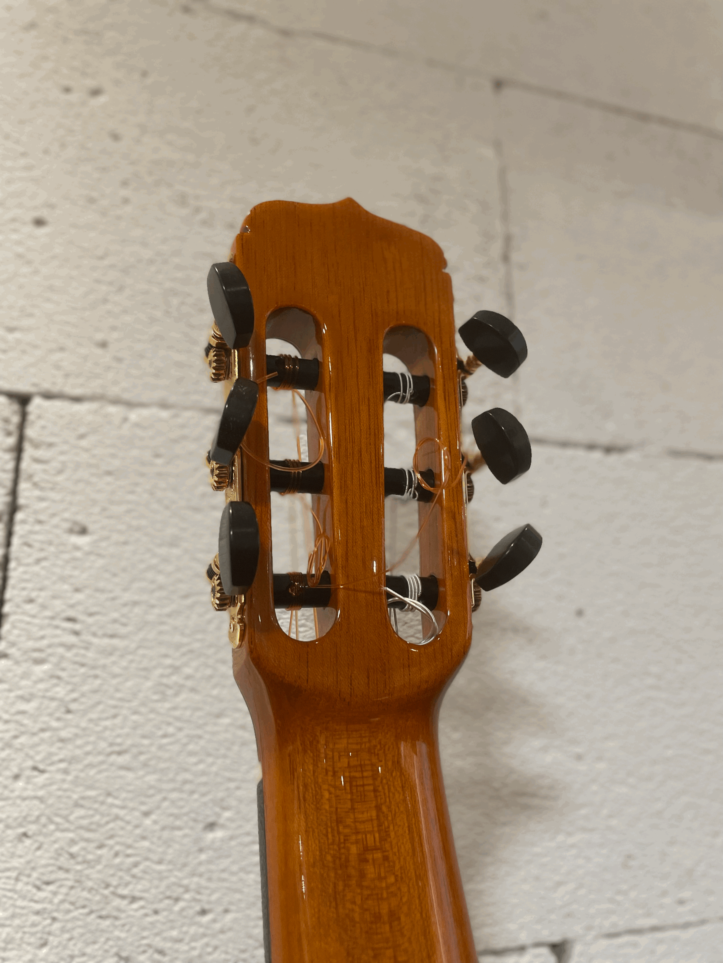 tempImagexUaNx5.gif