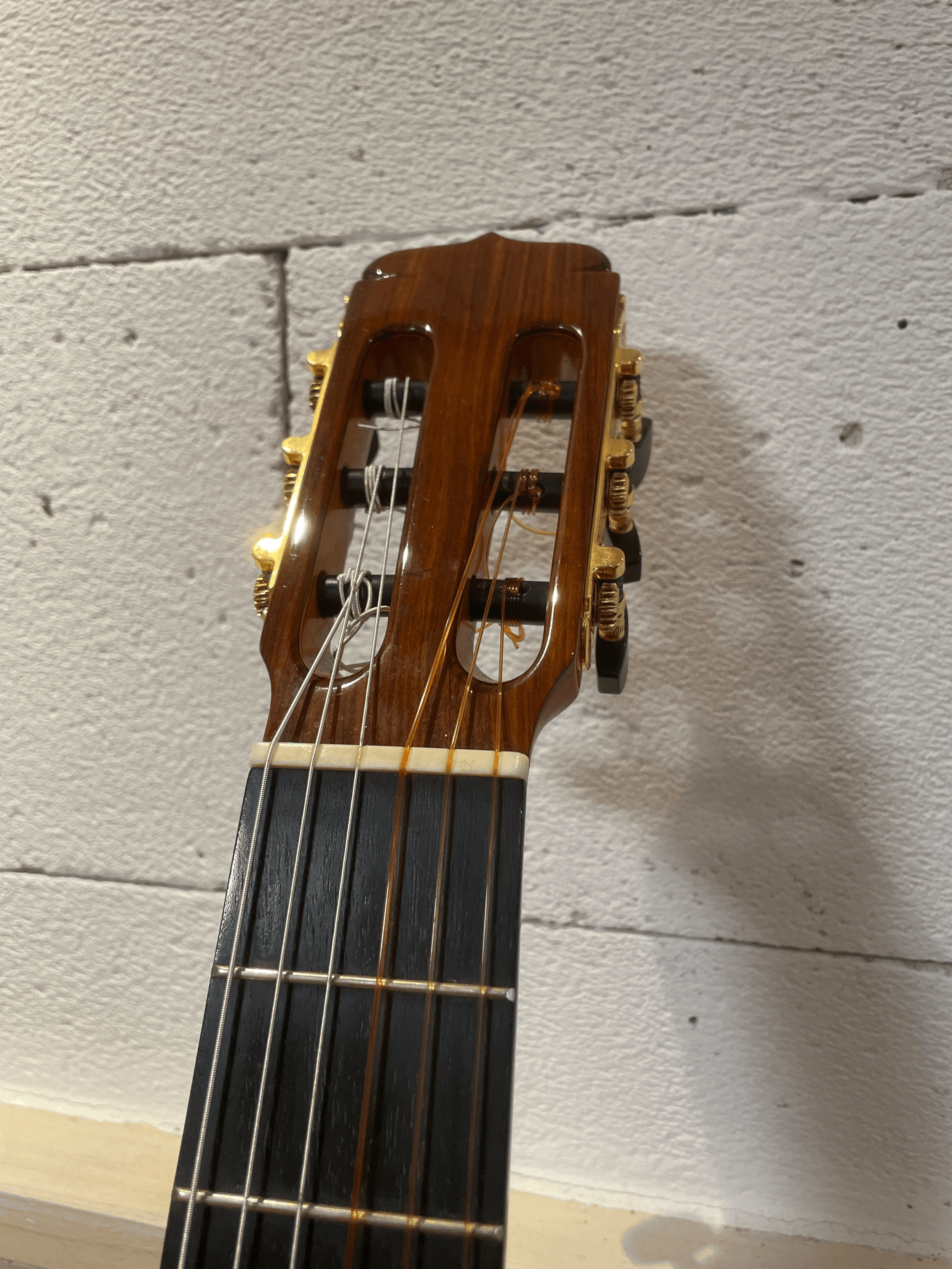 tempImageQe6JVQ.gif