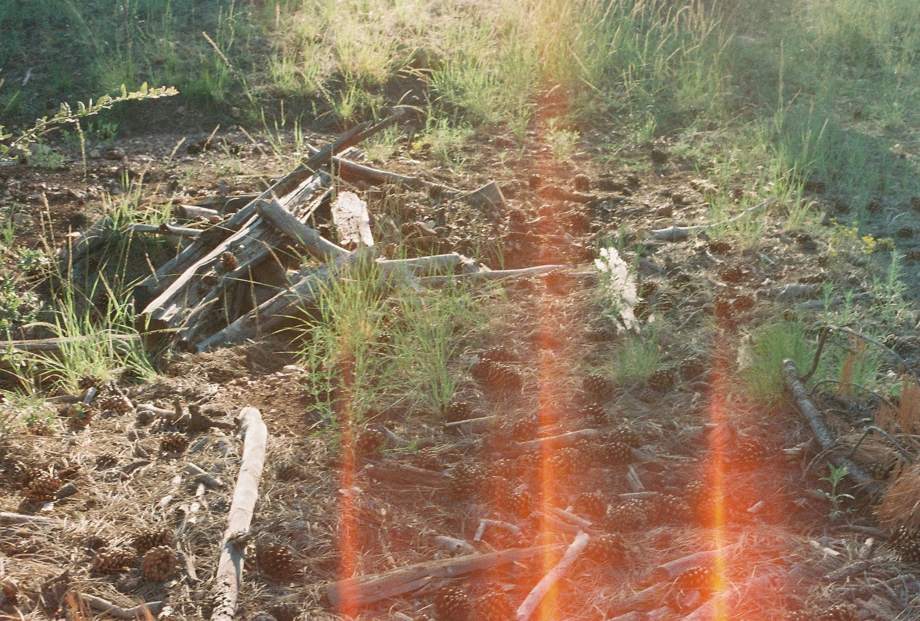 Cultivating the Commons Discussion Group + Skill Share — Monthly 