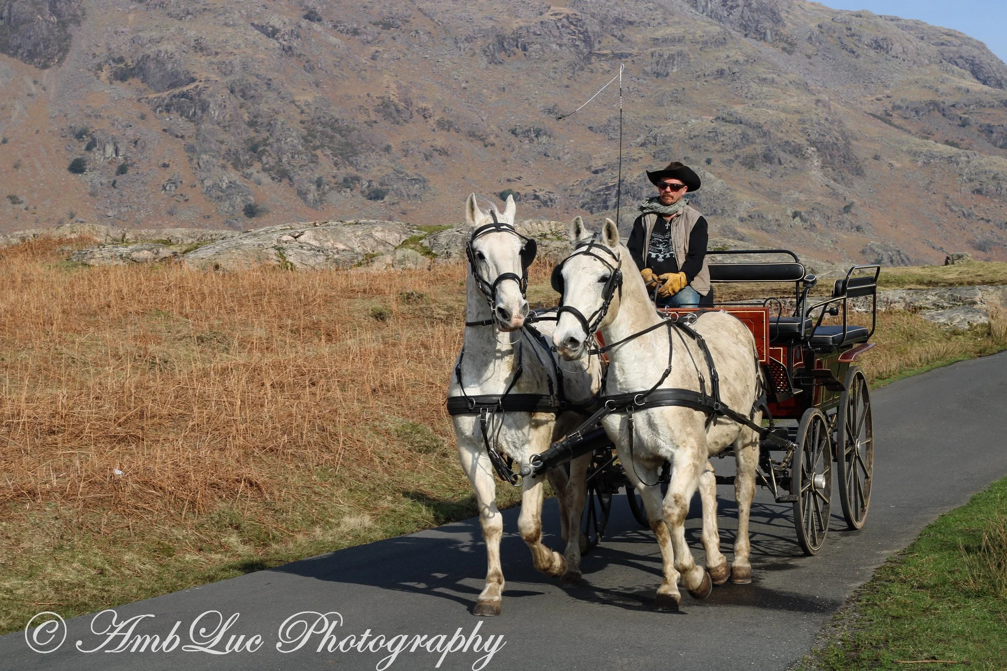 IMG_1806-2.jpg