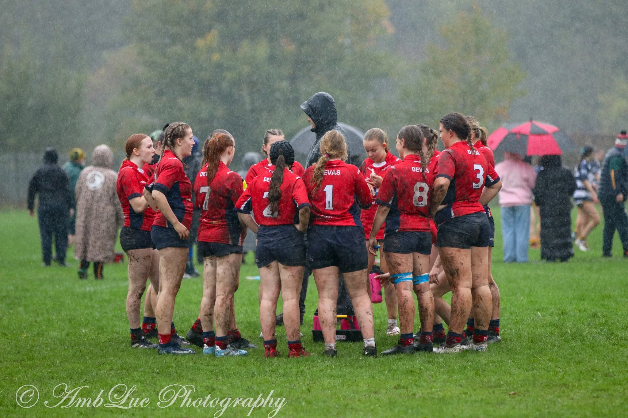 IMG_4462.jpg