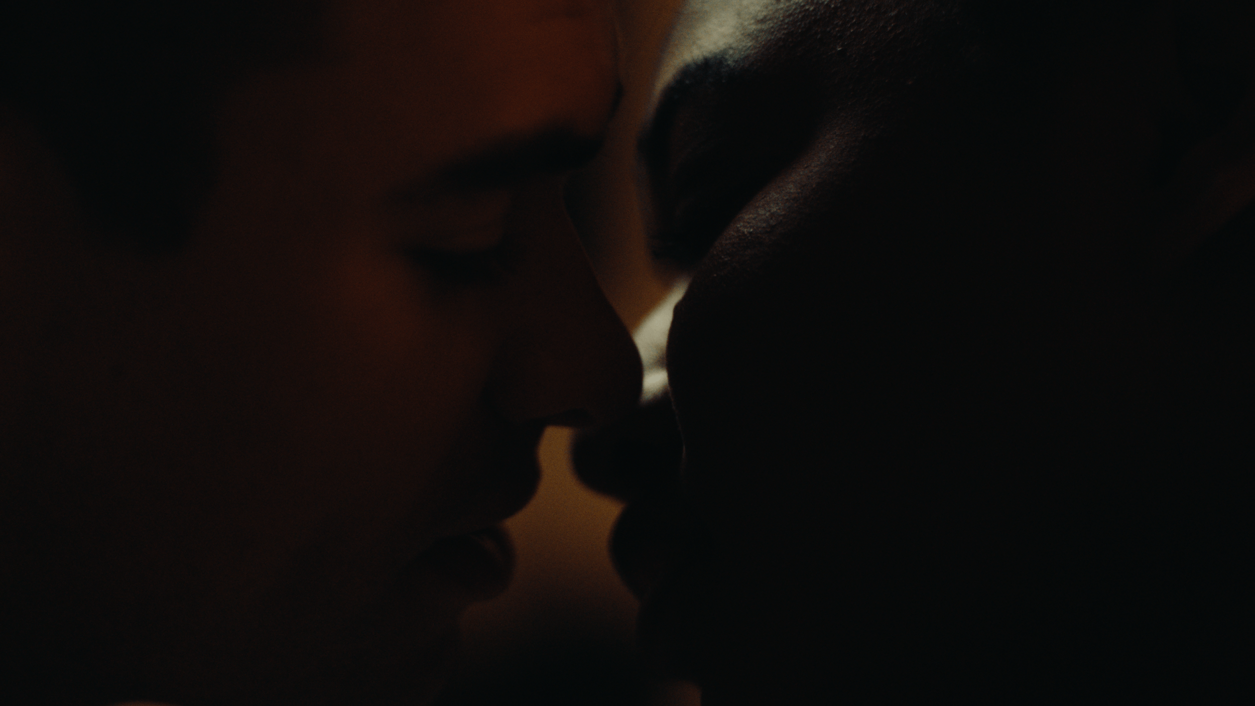 Lavender (2025, dir. Camryn Garrett, dp. Roomaline Chemaly)