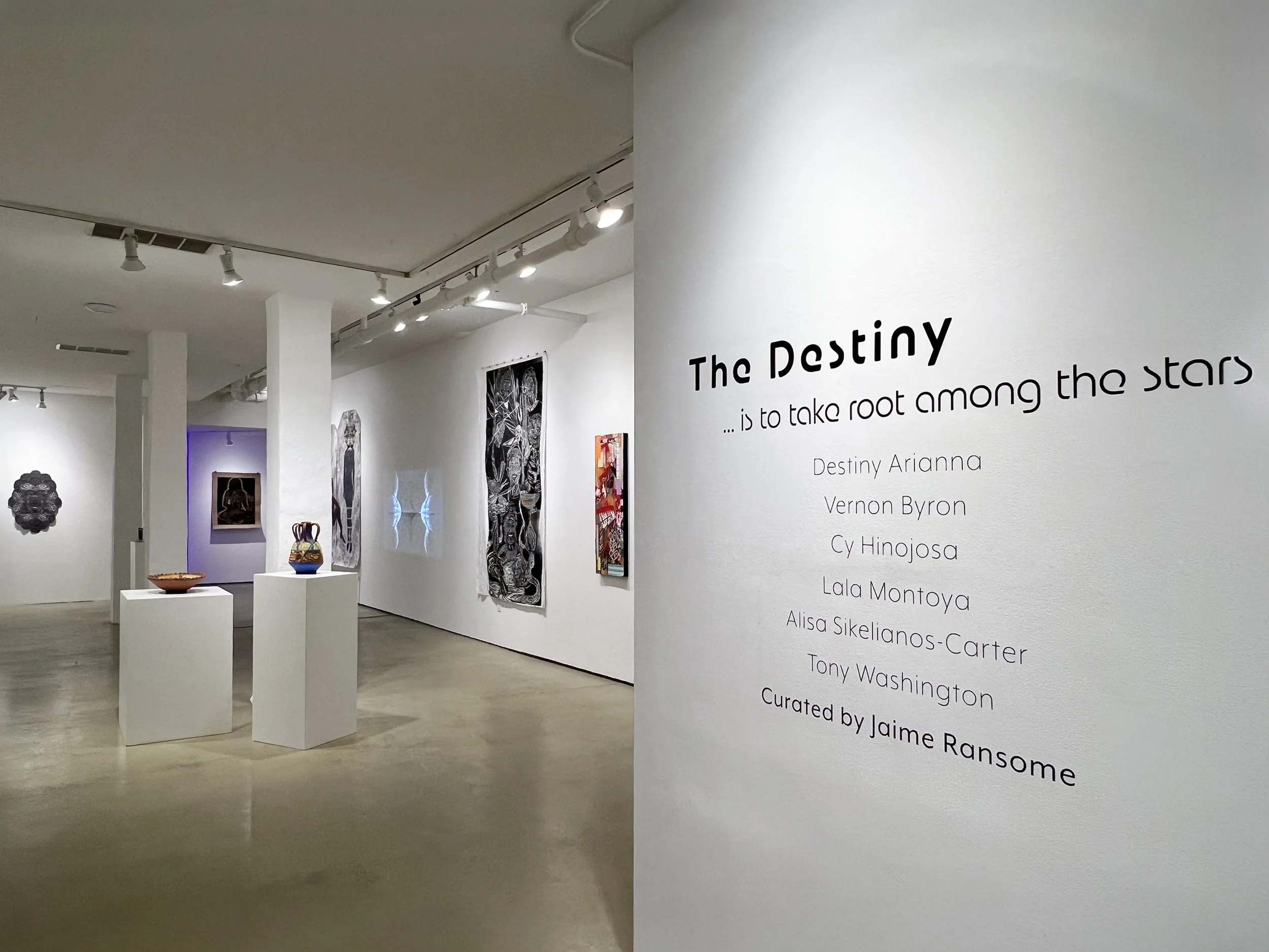 The Destiny Opening Reception