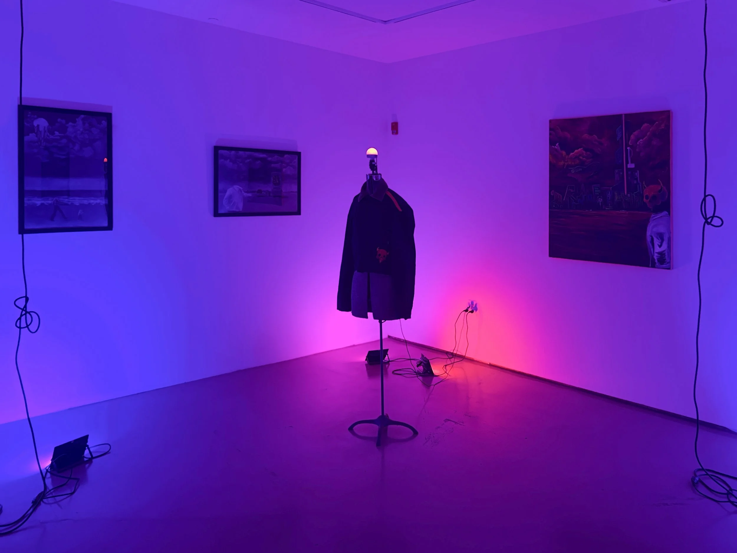 The-Destiny---Cy-Hinojosa---01 (1).jpg