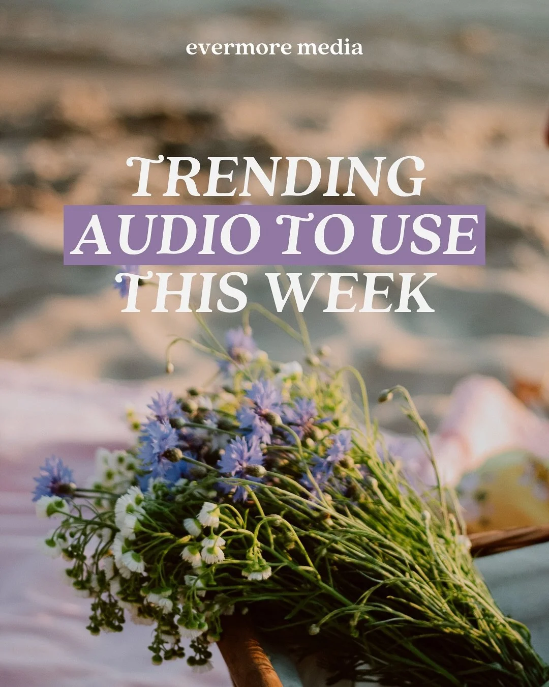 📣PSA: Don&rsquo;t sleep on these trending audios!
The right sound can seriously level up your content&mdash;whether it&rsquo;s to catch attention, show some personality, or give your carousel a better shot at hitting the Explore page. 

We&rsquo;re 