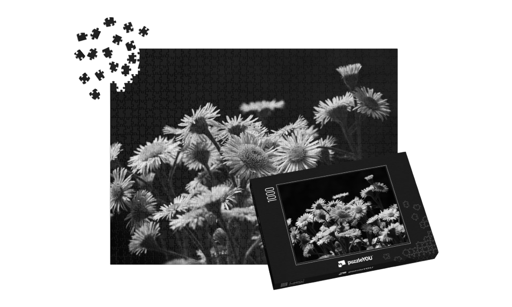 46438e0797f3a24757115a9d478cedb2 (1).png