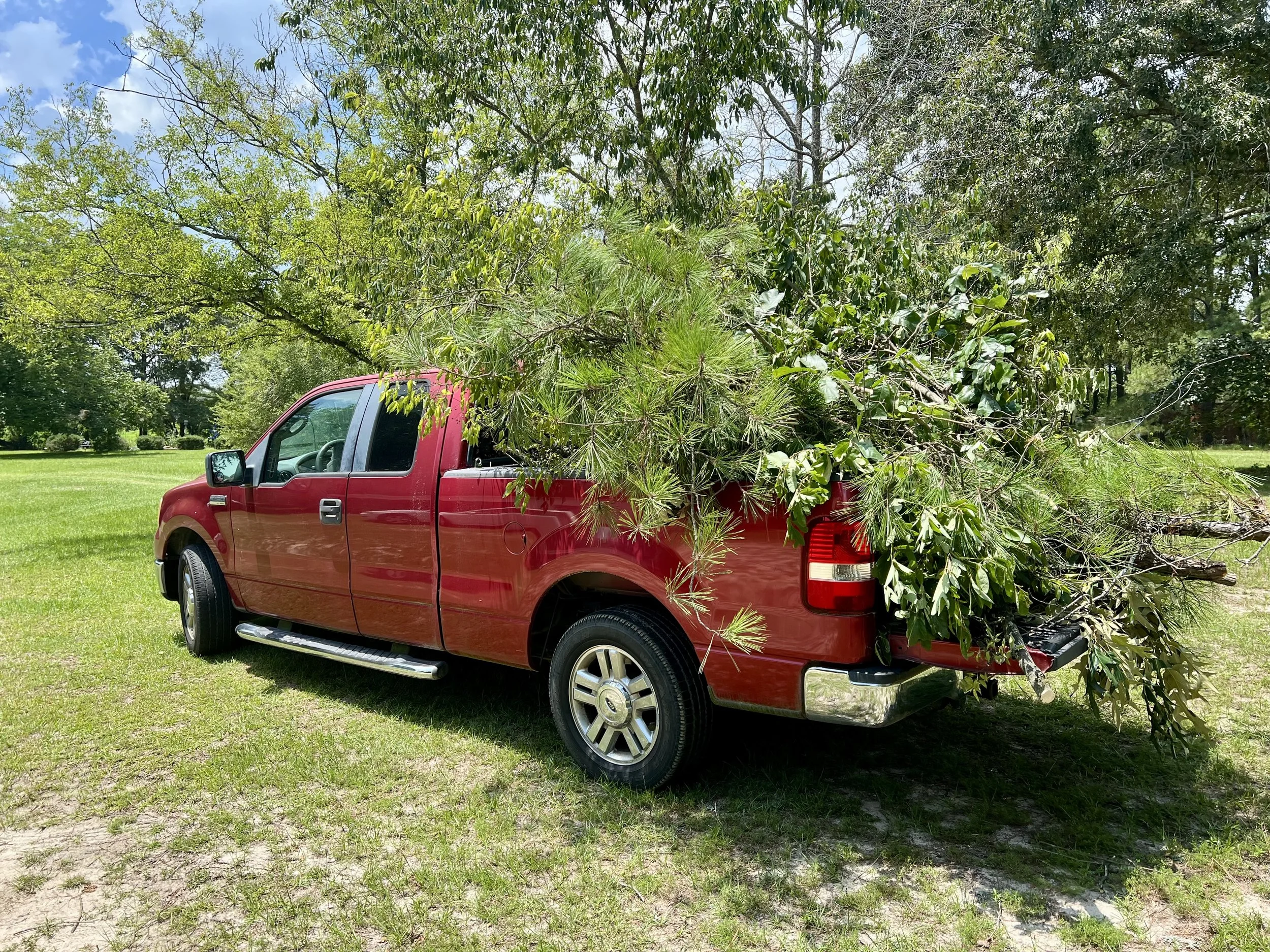 Making the Cut: Pruning Foliage and Invasive Plants 