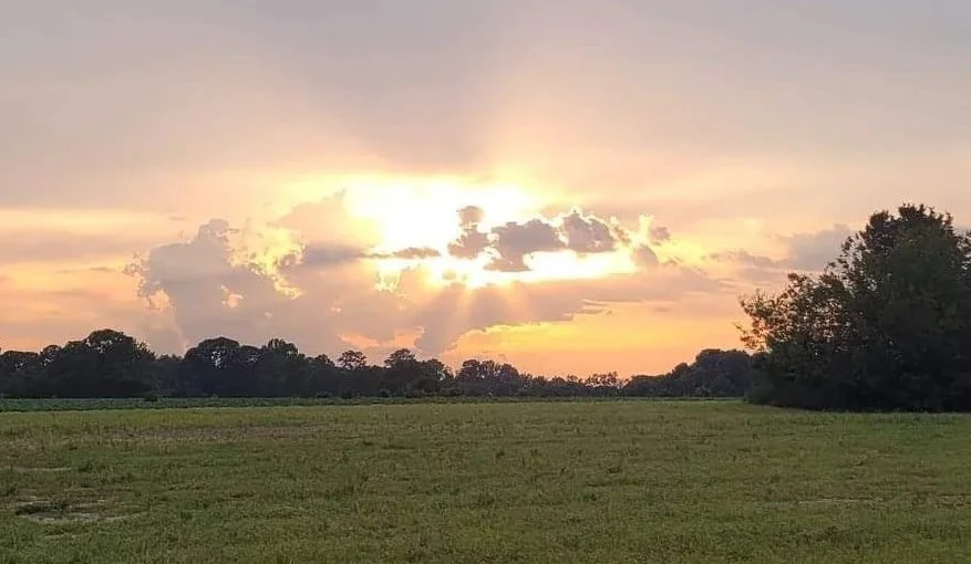 Sunset over a green field