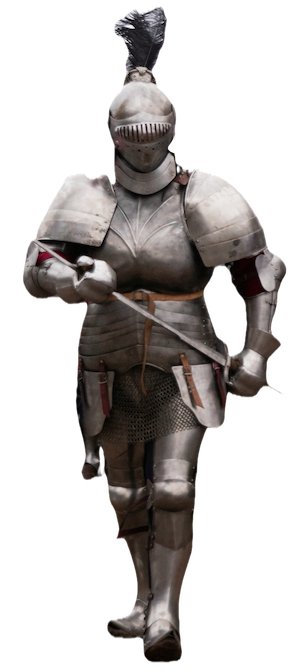 Knight ready to do battle.