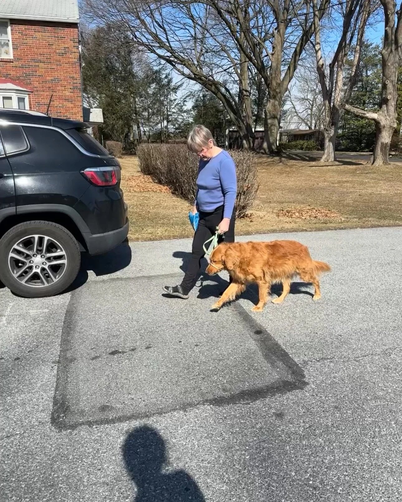 LEASH WALKING UPDATE!! 
🐕&zwj;🦺🐕&zwj;🦺🐕&zwj;🦺
You may remember that last month I started meeting with Ginger for leash training. When I start meeting with a client, one of the first things that we do is evaluate all of the tools they are alread